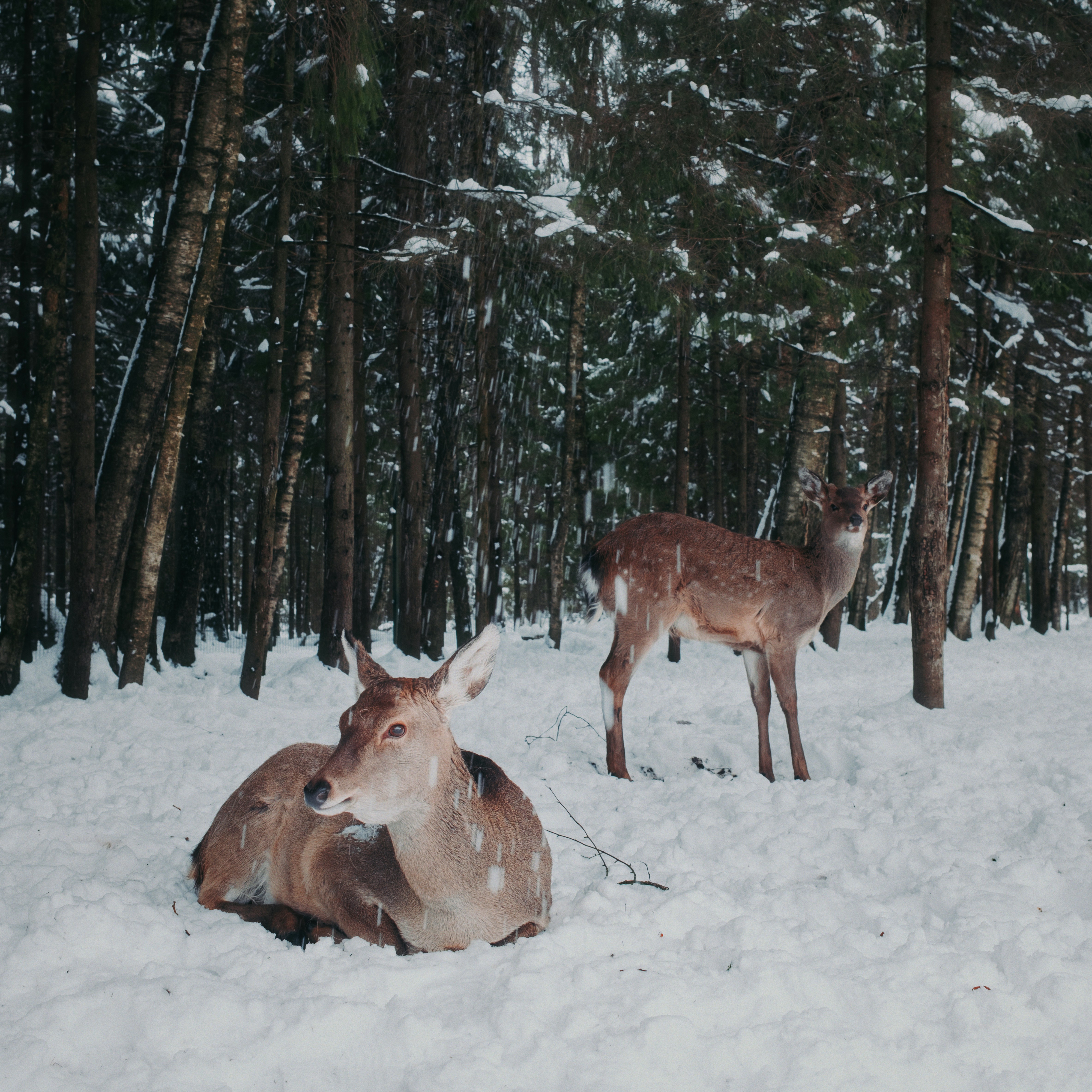 Photo by evil_bumblebee