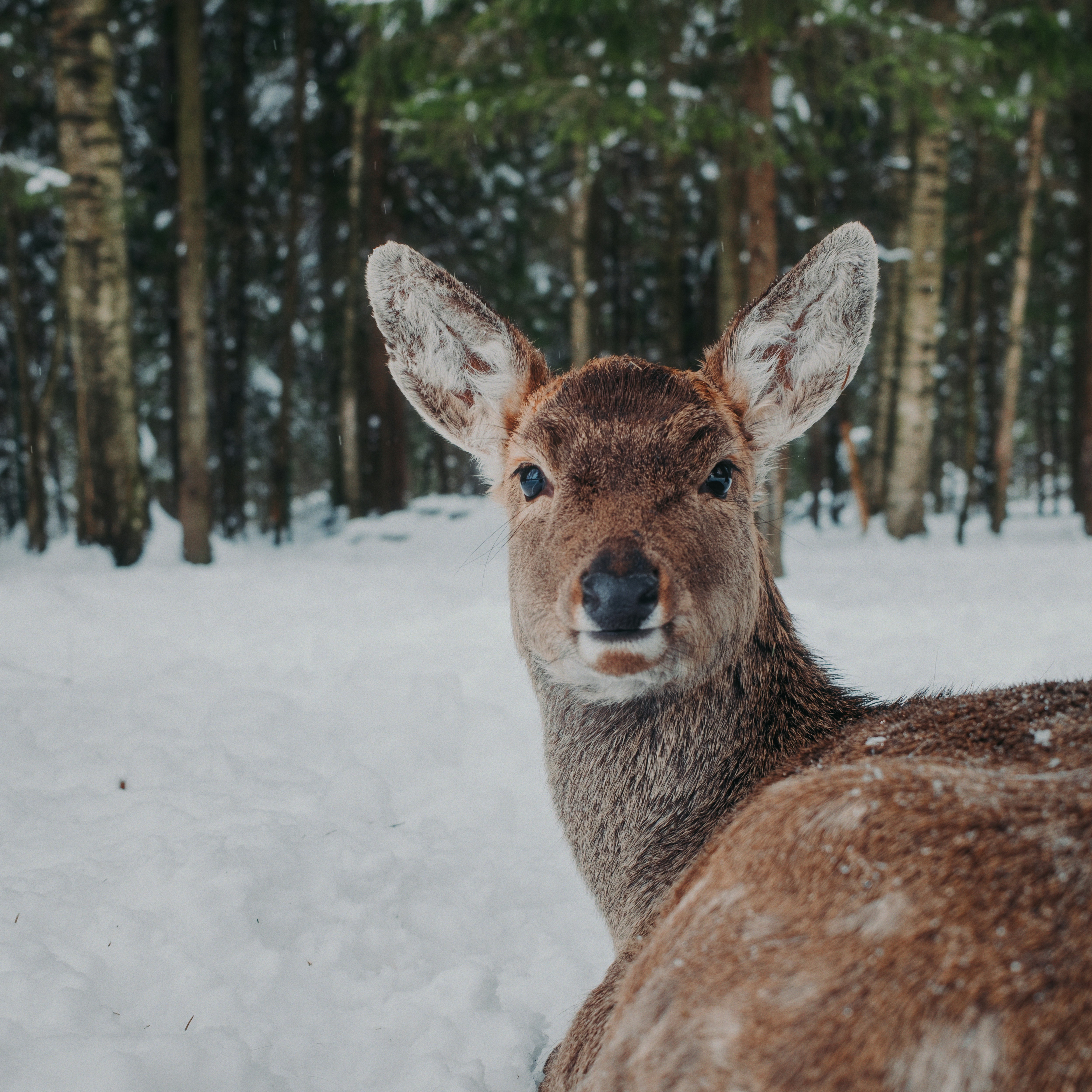 Photo by evil_bumblebee