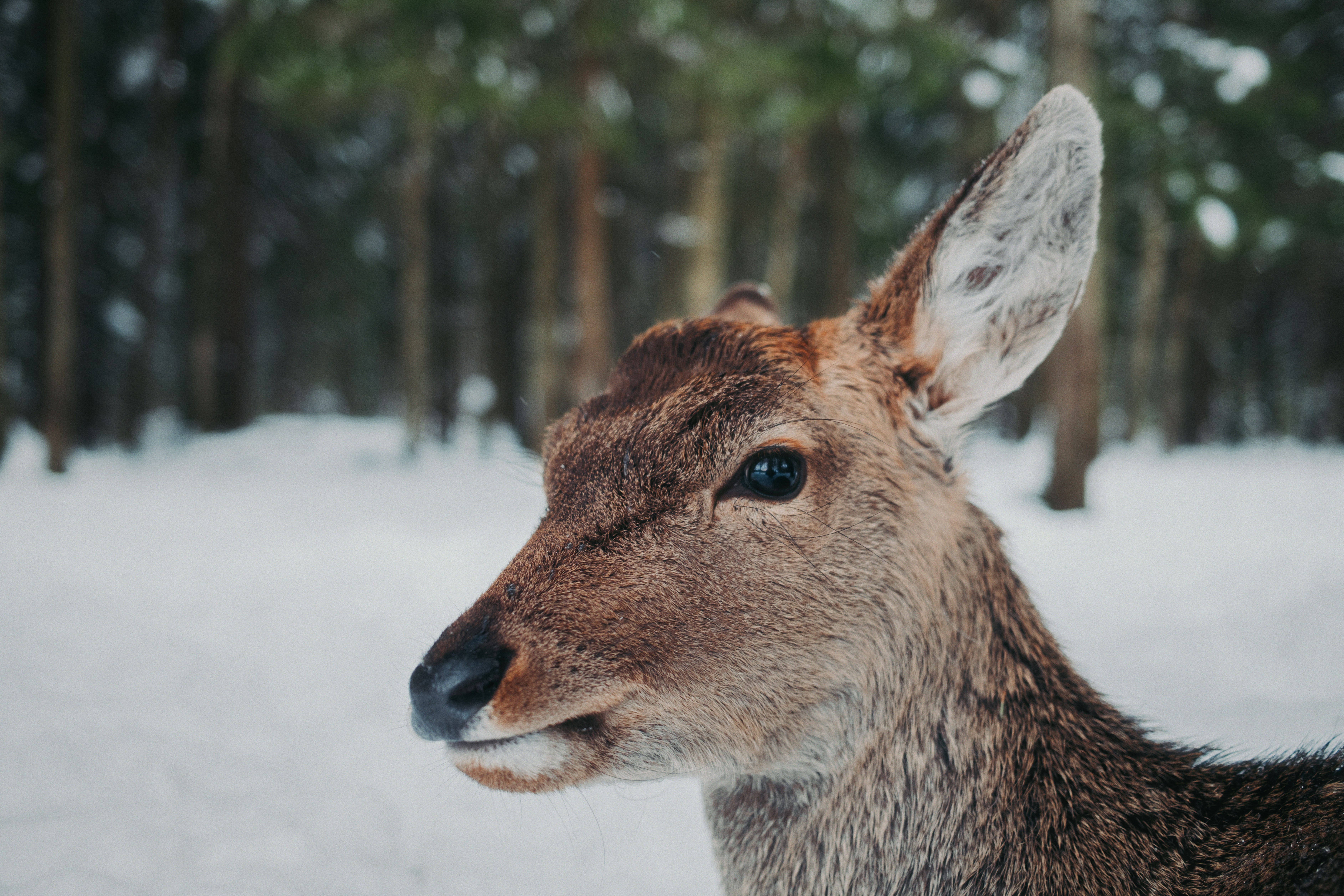 Photo by evil_bumblebee