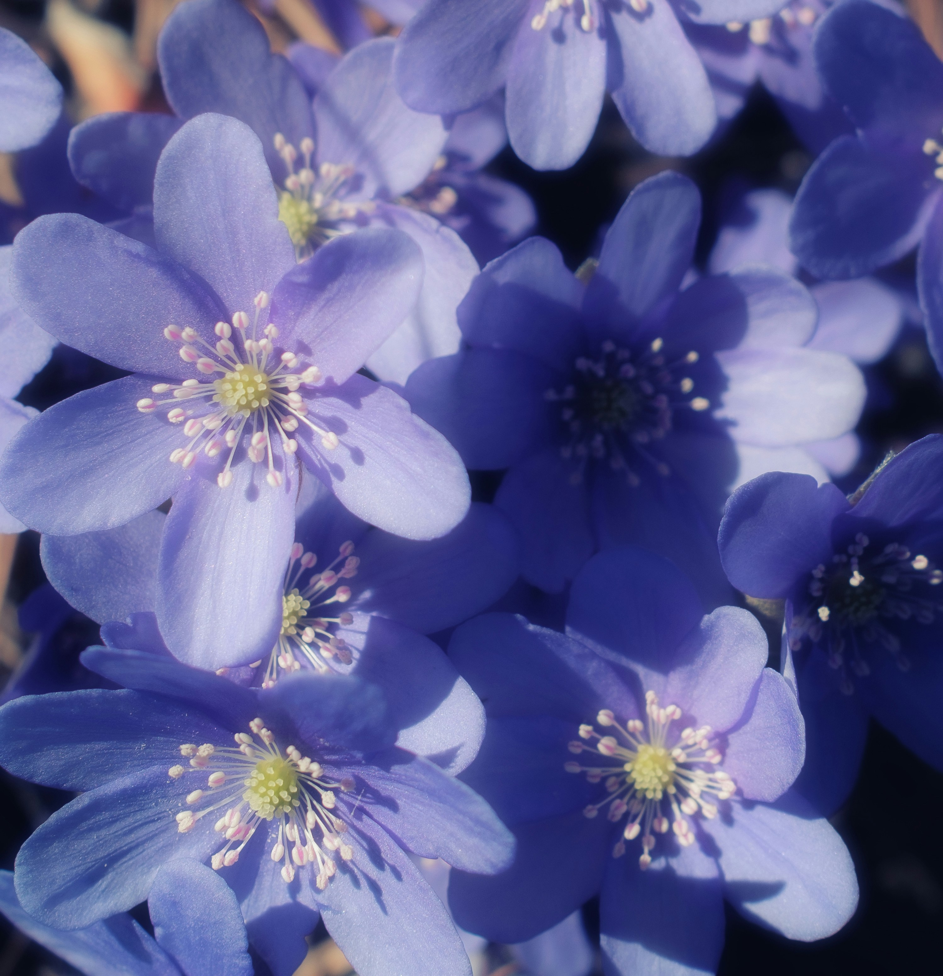 Photo by evil_bumblebee