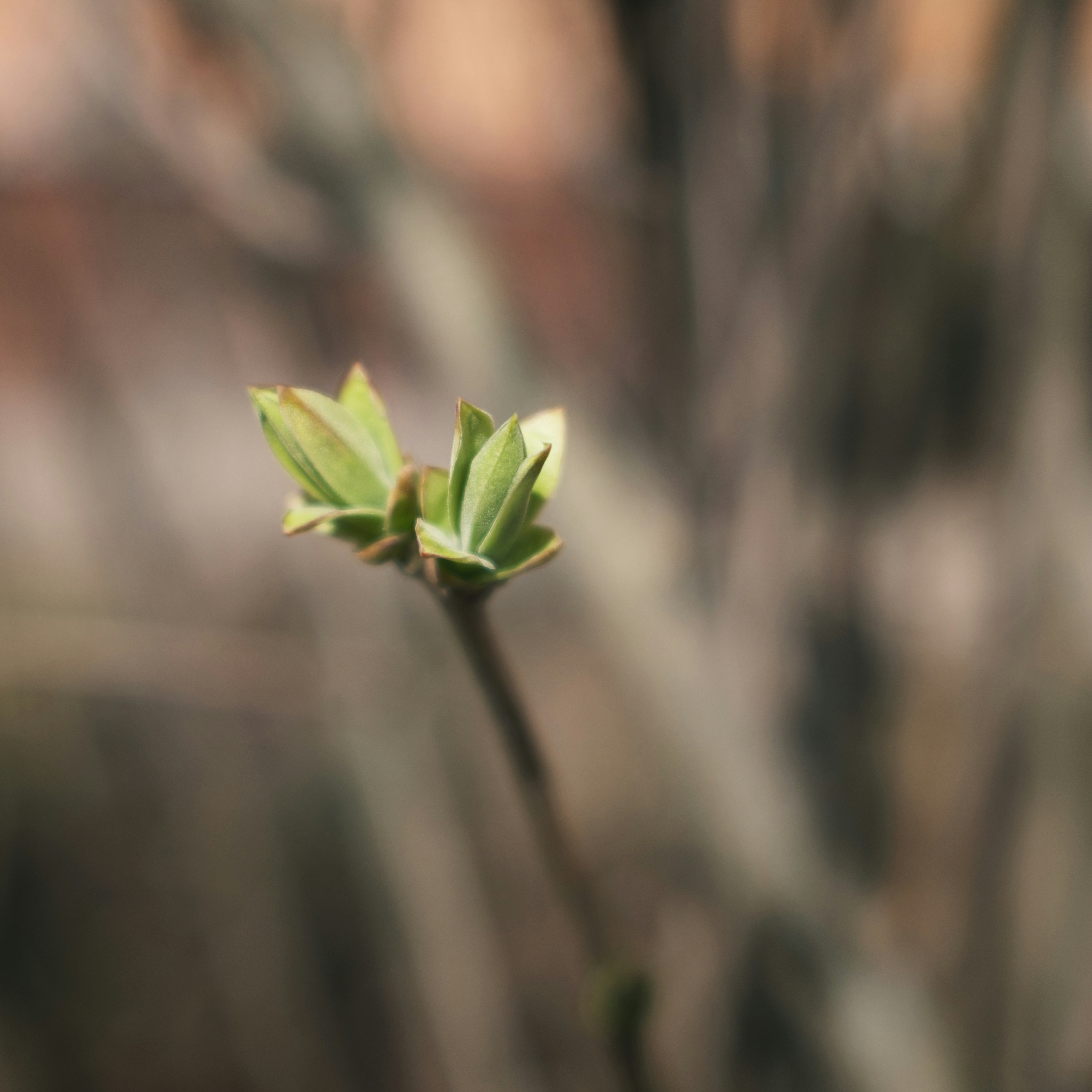 Photo by evil_bumblebee