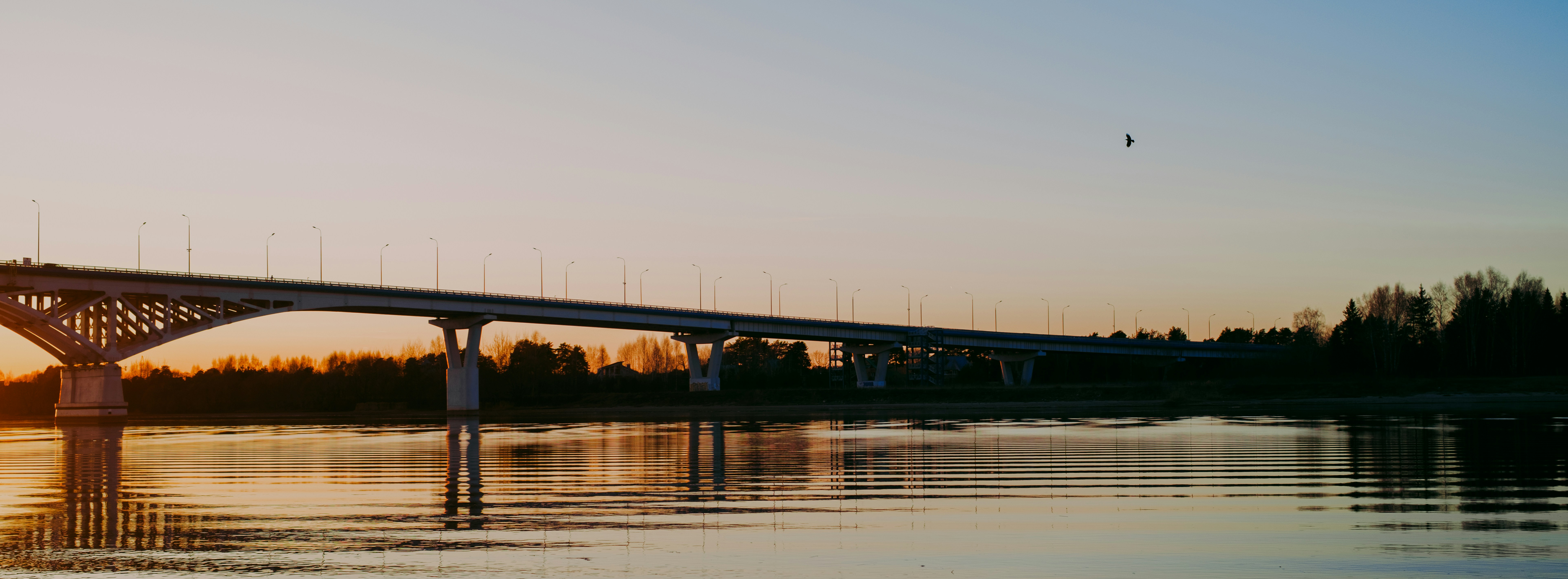 Photo by evil_bumblebee