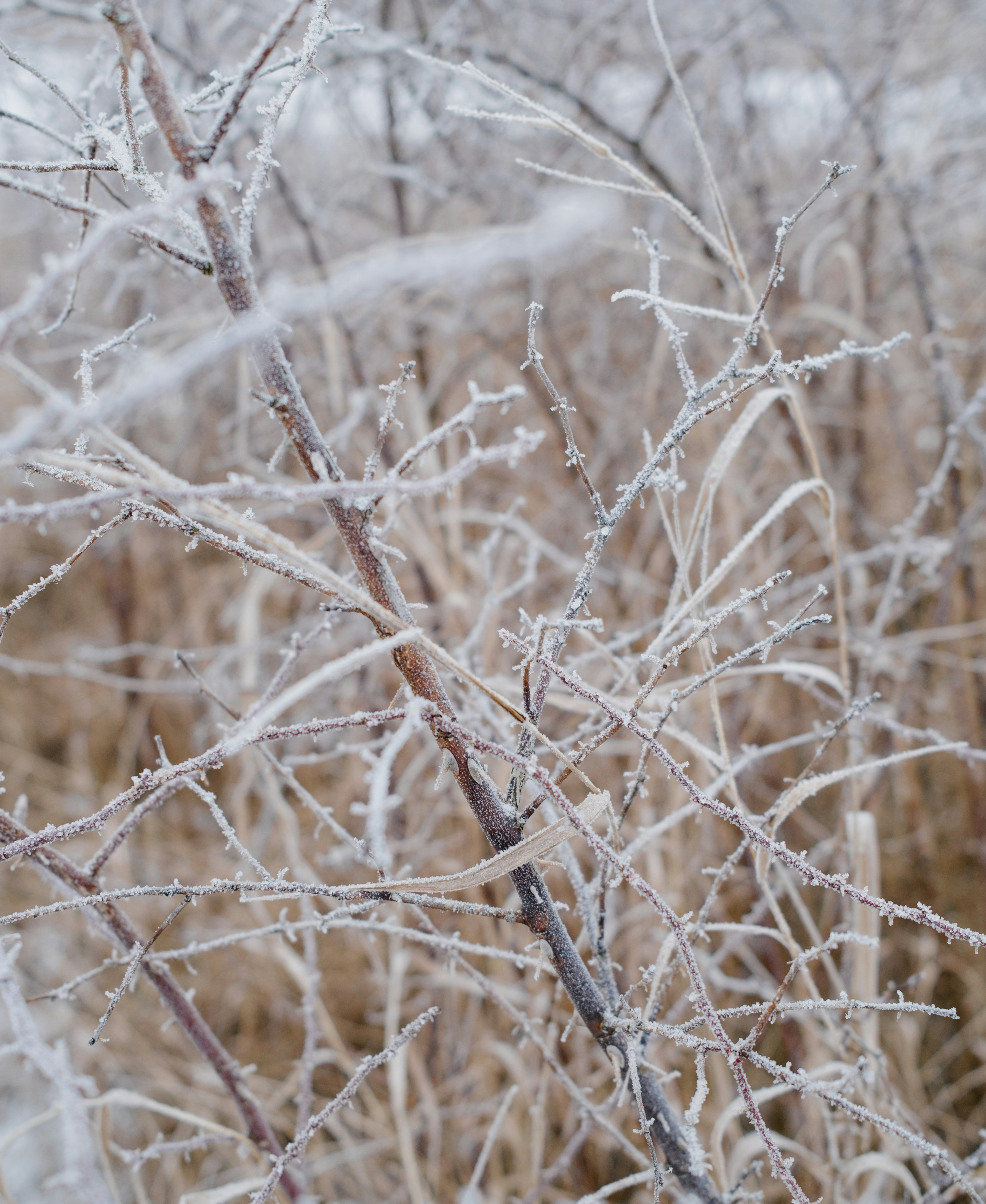 Photo by evil_bumblebee