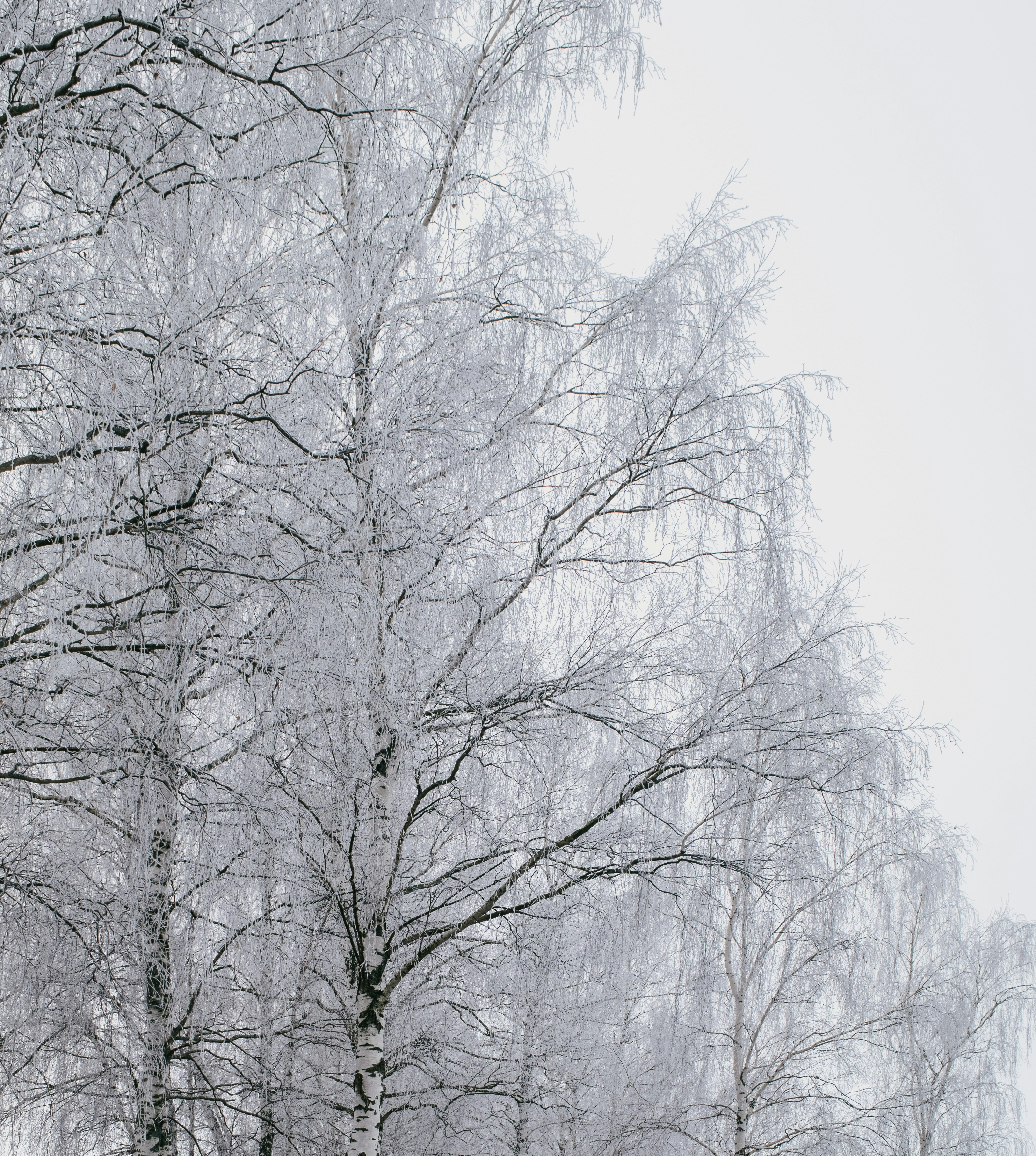 Photo by evil_bumblebee