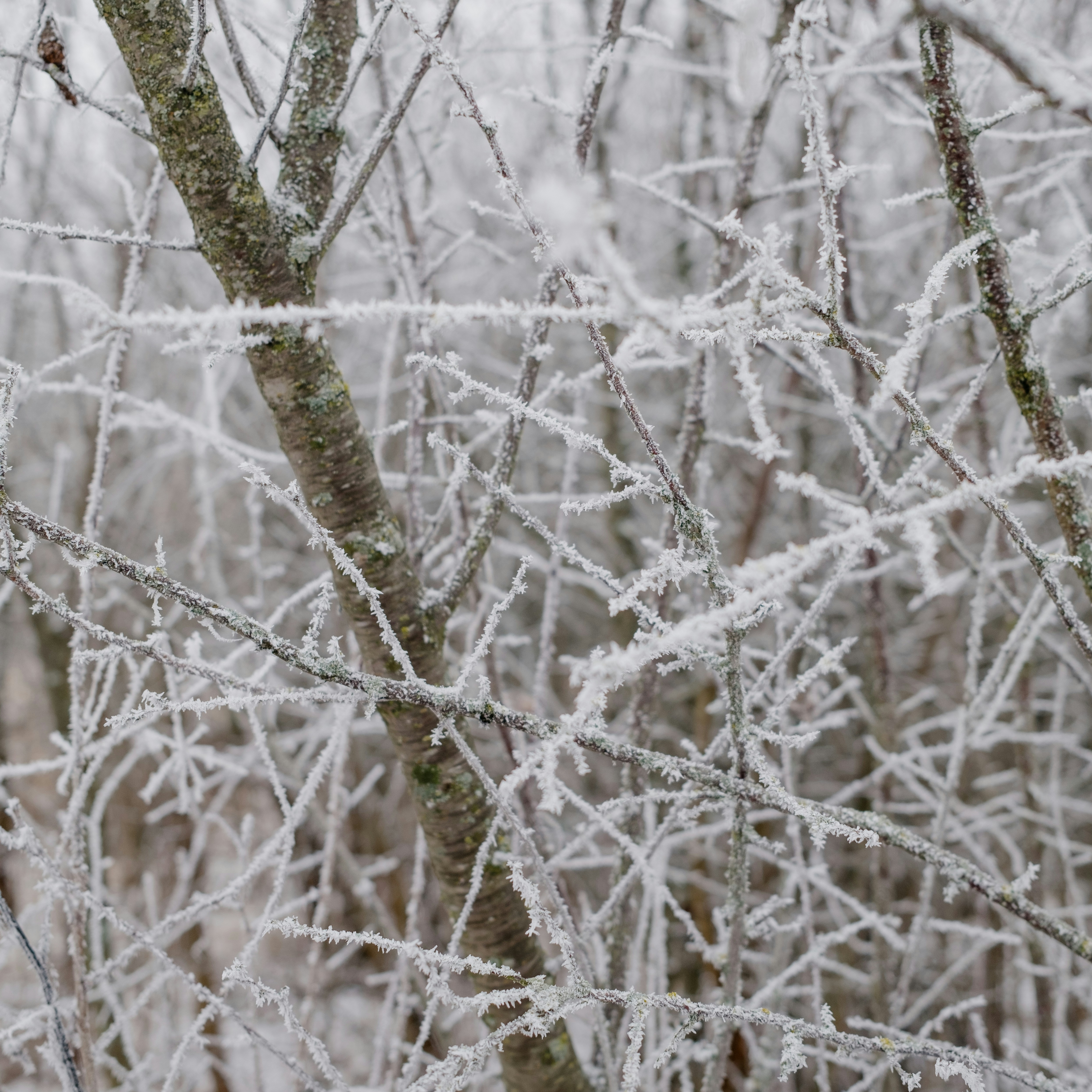 Photo by evil_bumblebee