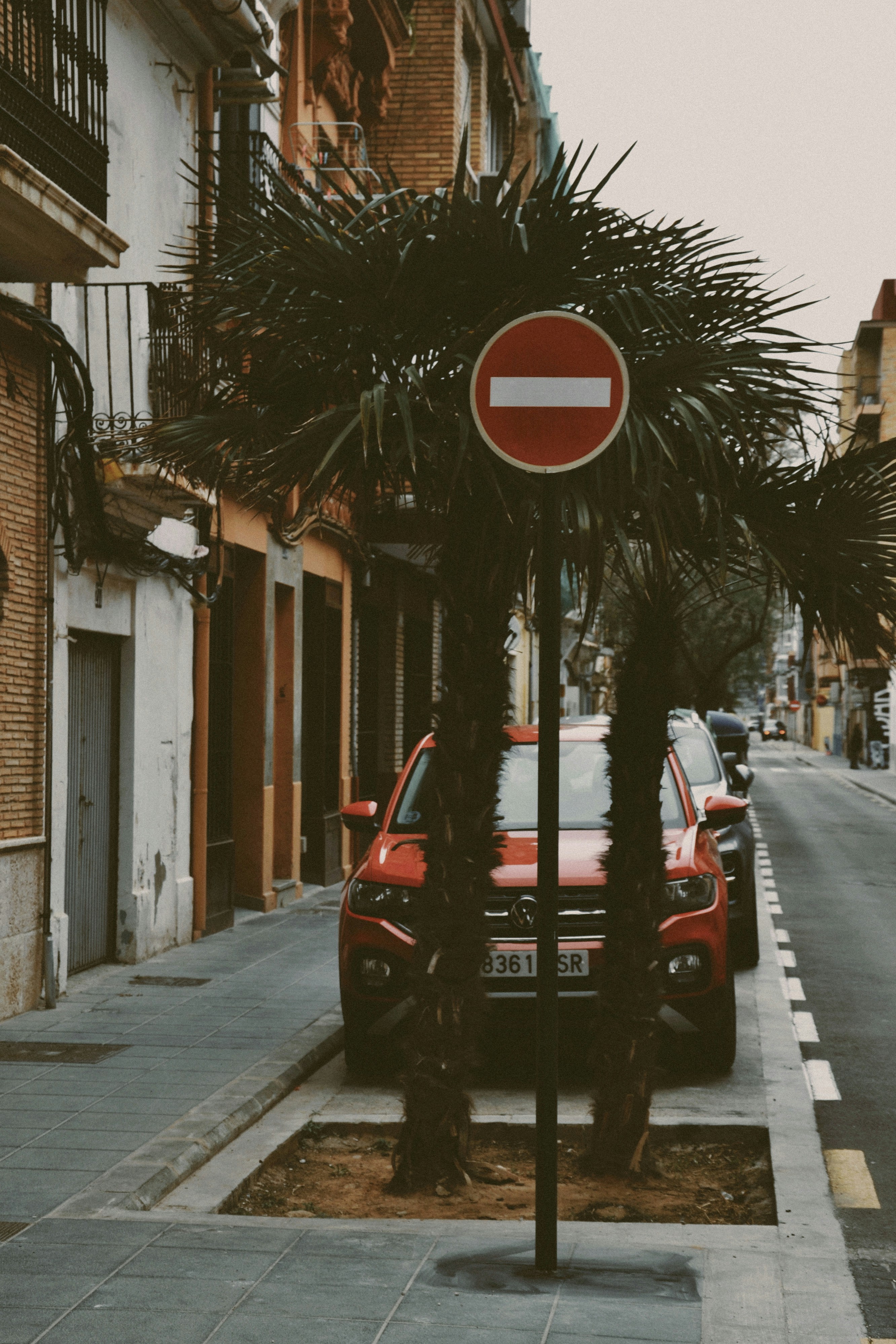 No entry sign between palm trees on city street.