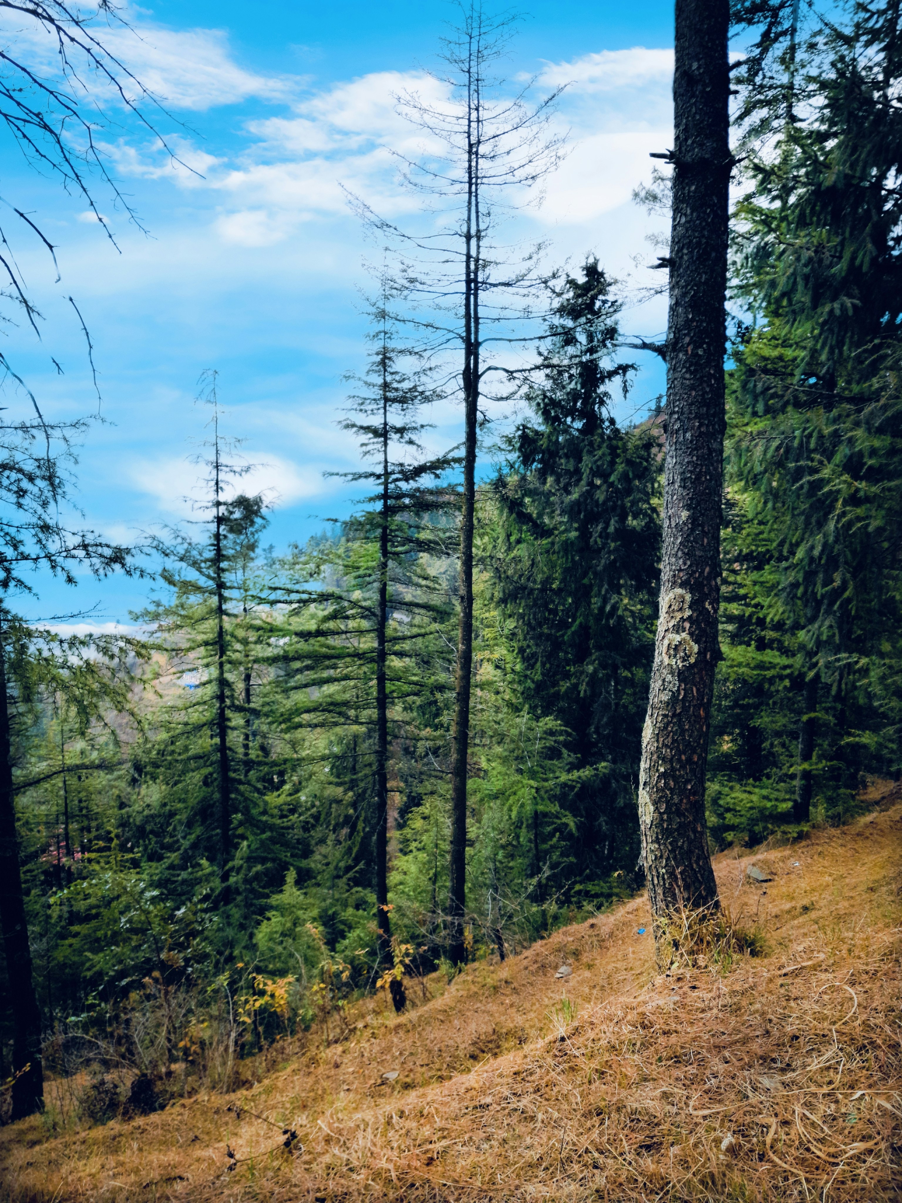 Photo by rajdhiman5445