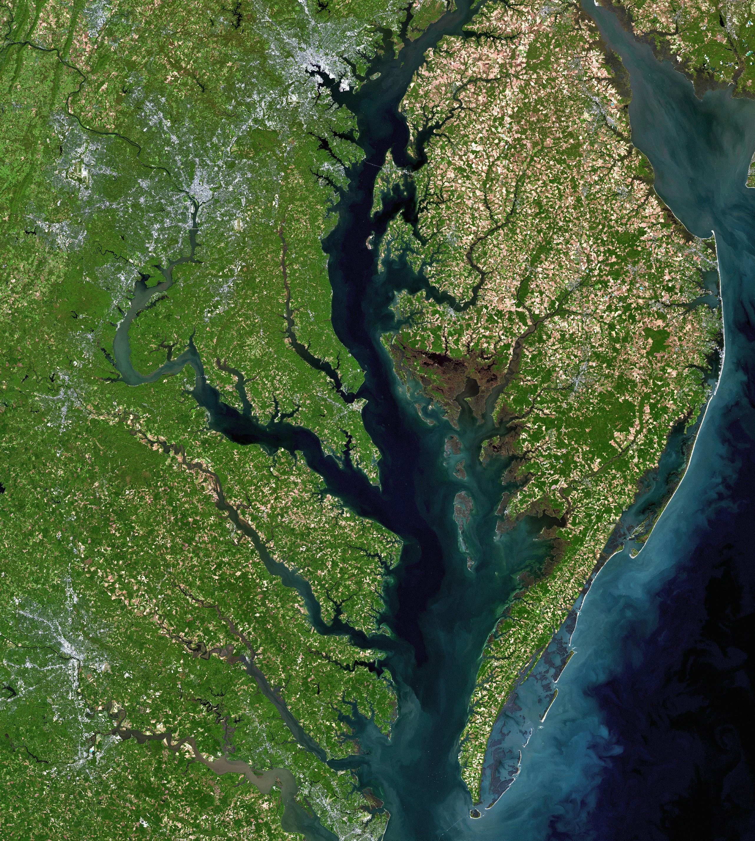 Cover Image for The State of Water Quality in the Chesapeake Bay