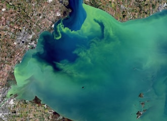 Satellite view of algae bloom in a body of water