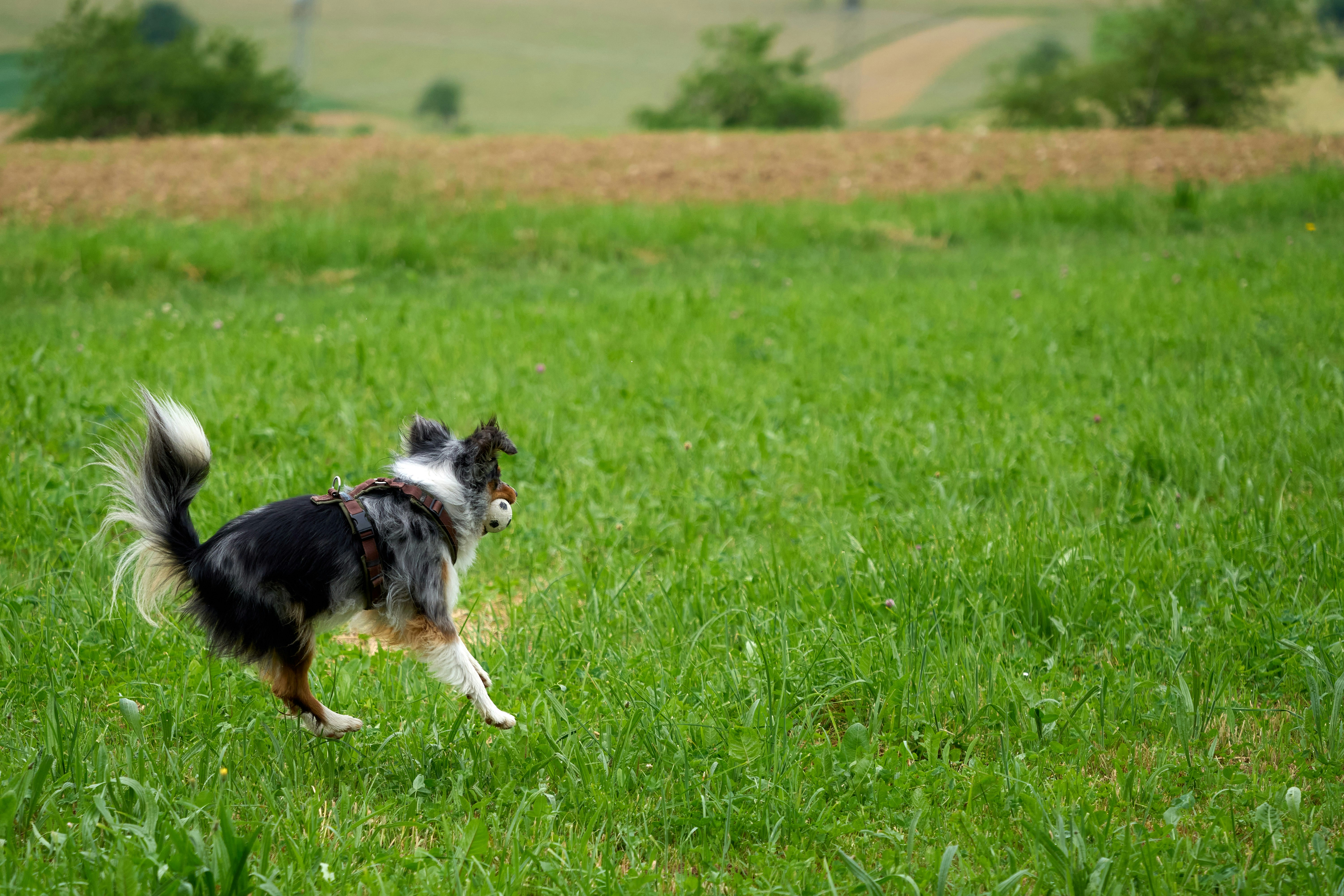 Photo by wolfgang_hasselmann