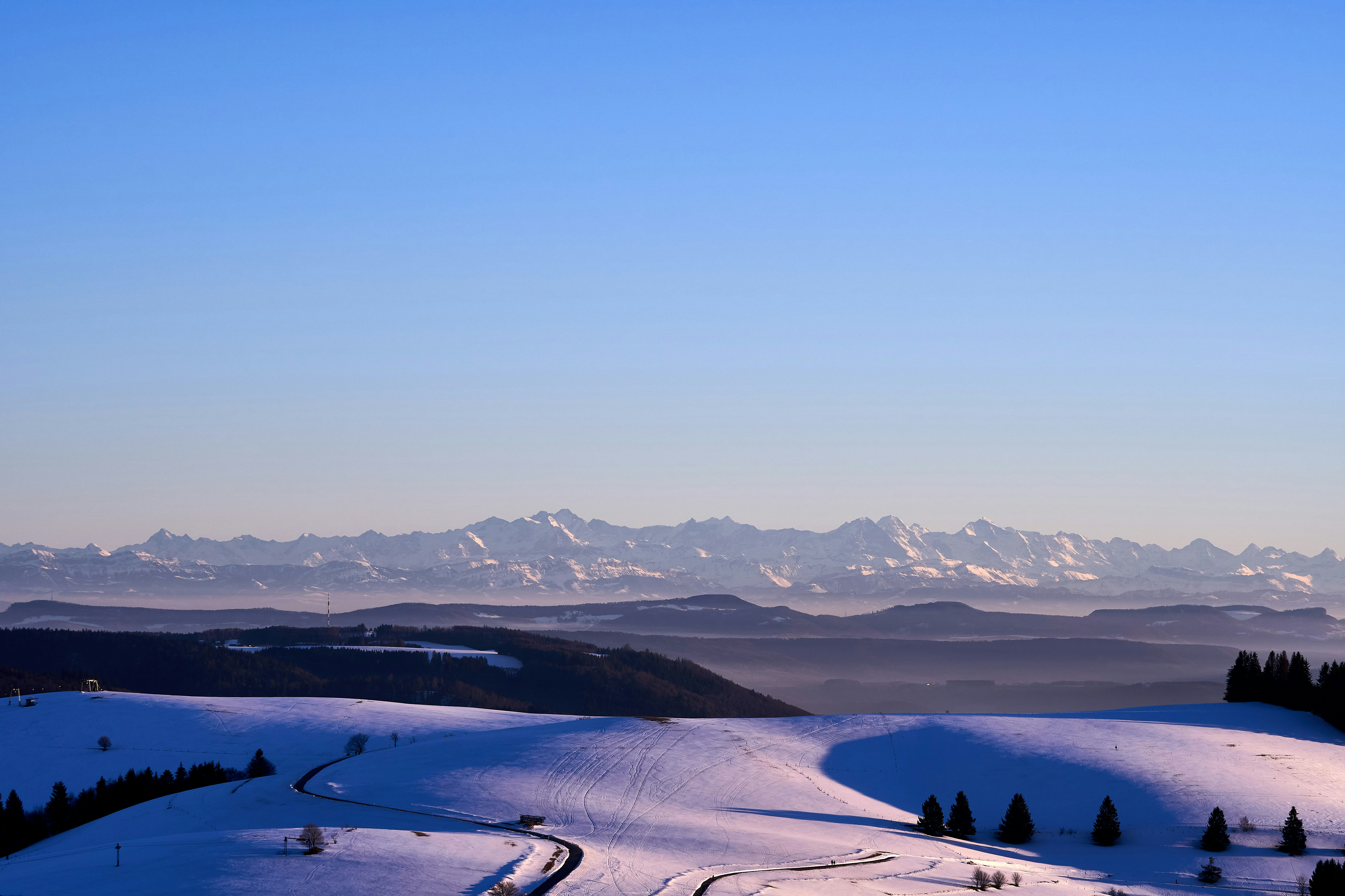 Photo by wolfgang_hasselmann