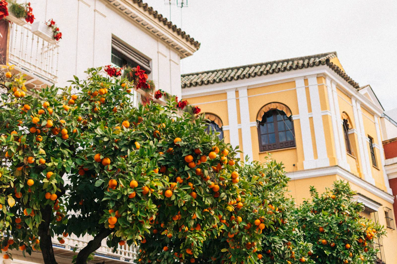 Seville, Spain