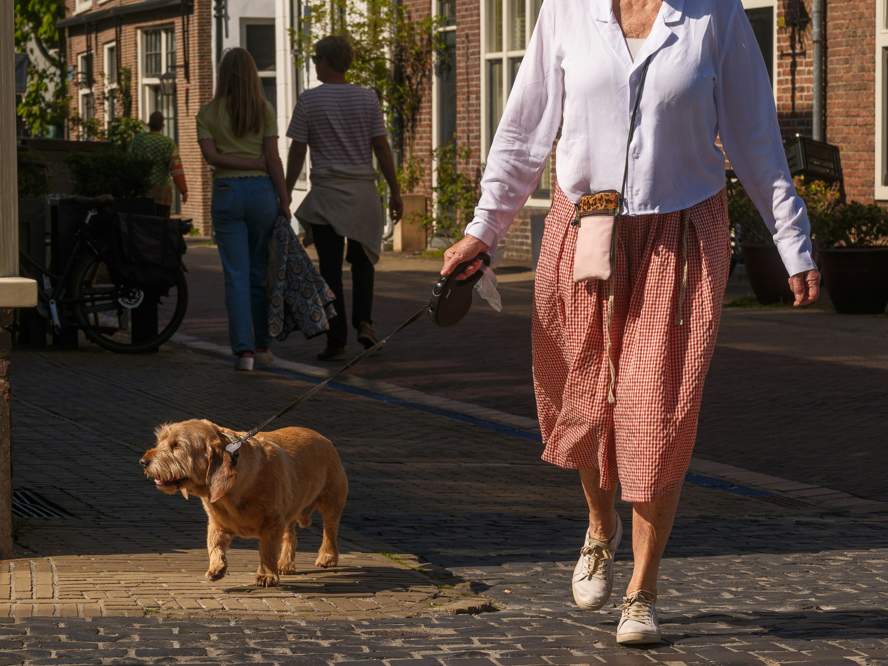 A woman walks a dog down a street.
