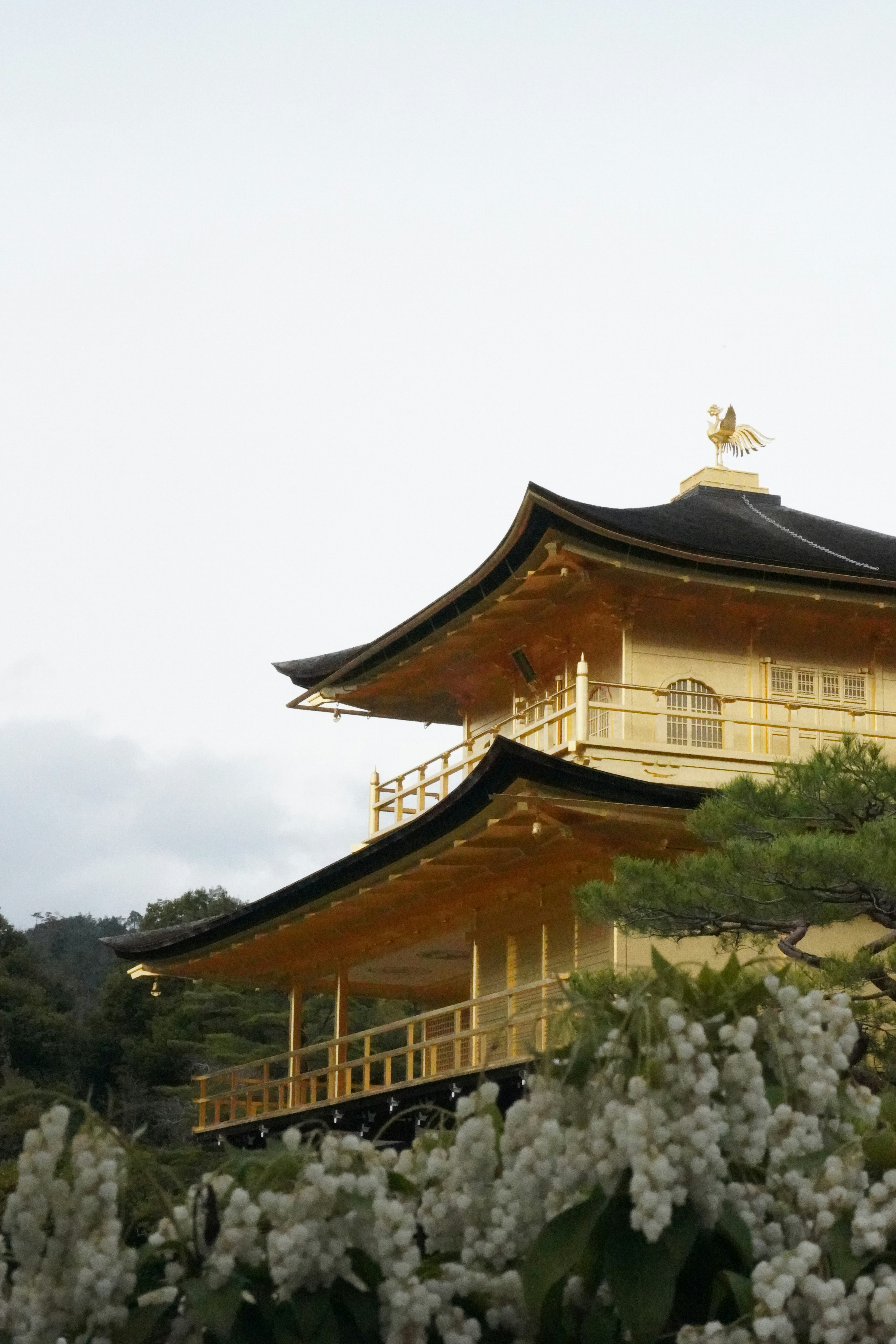 Photo by cherrymacherie