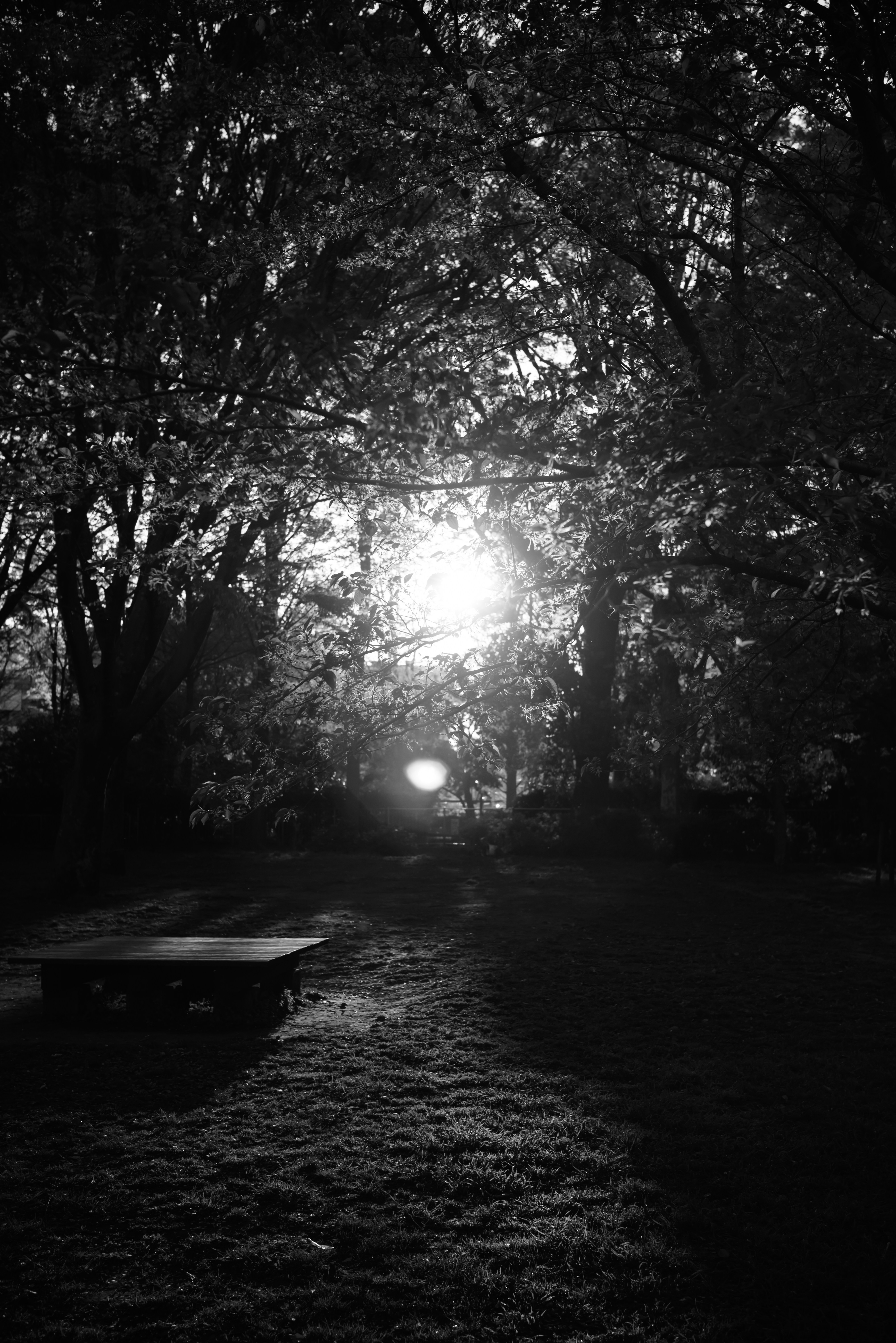 Photo by hayato_no_kiroku