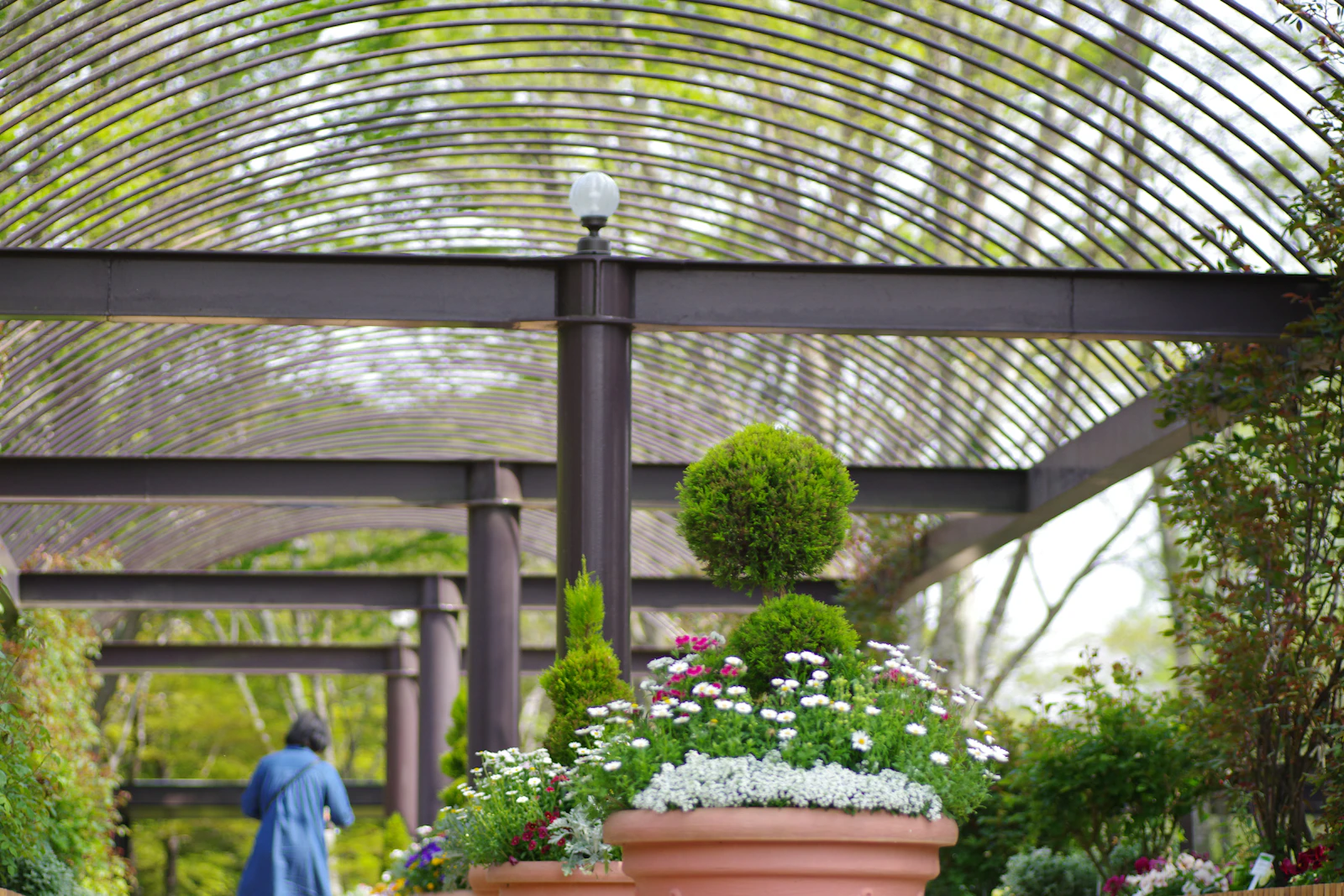 Pergola métallique ombrageant une terrasse extérieure