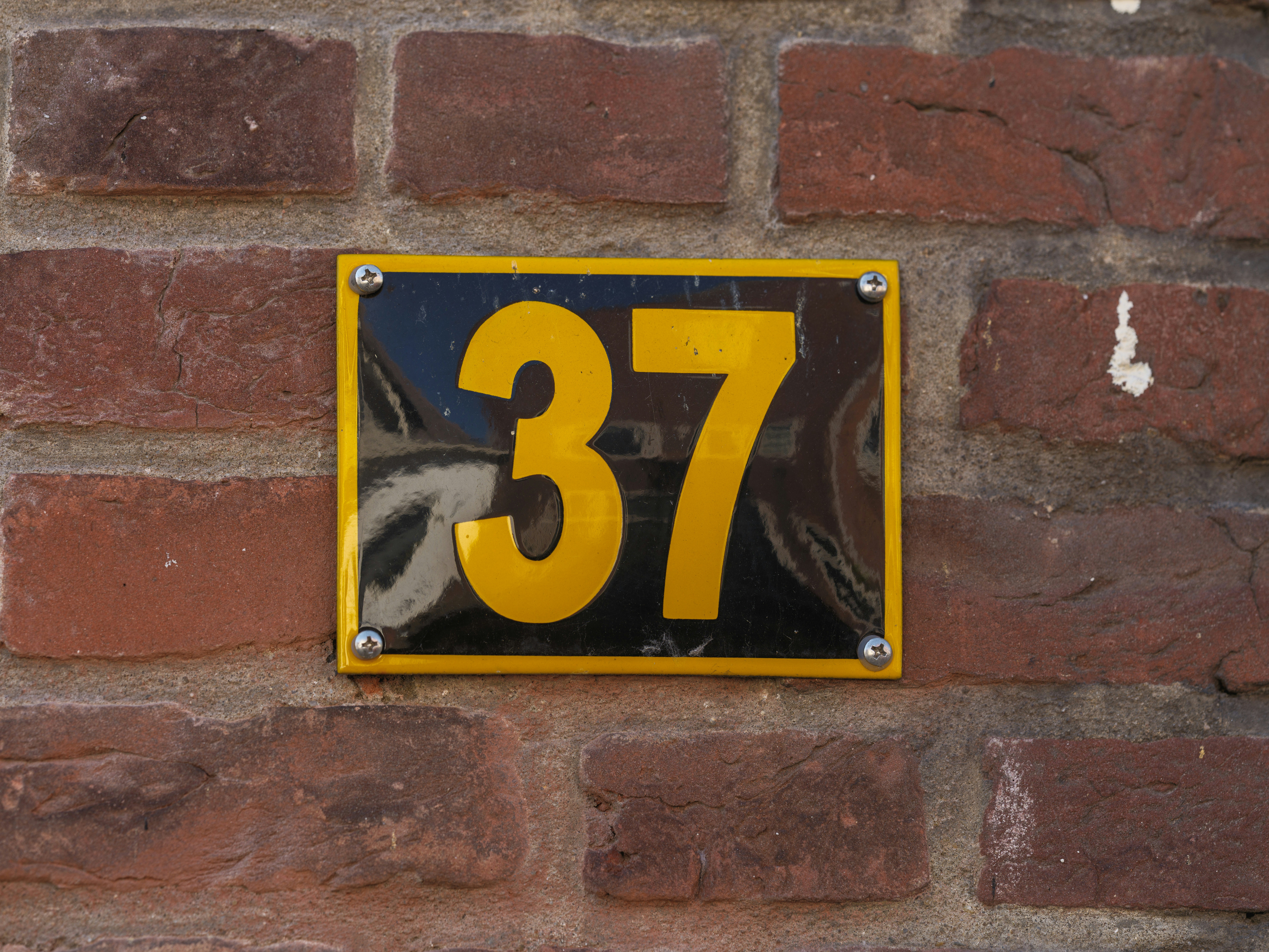 Number 37
