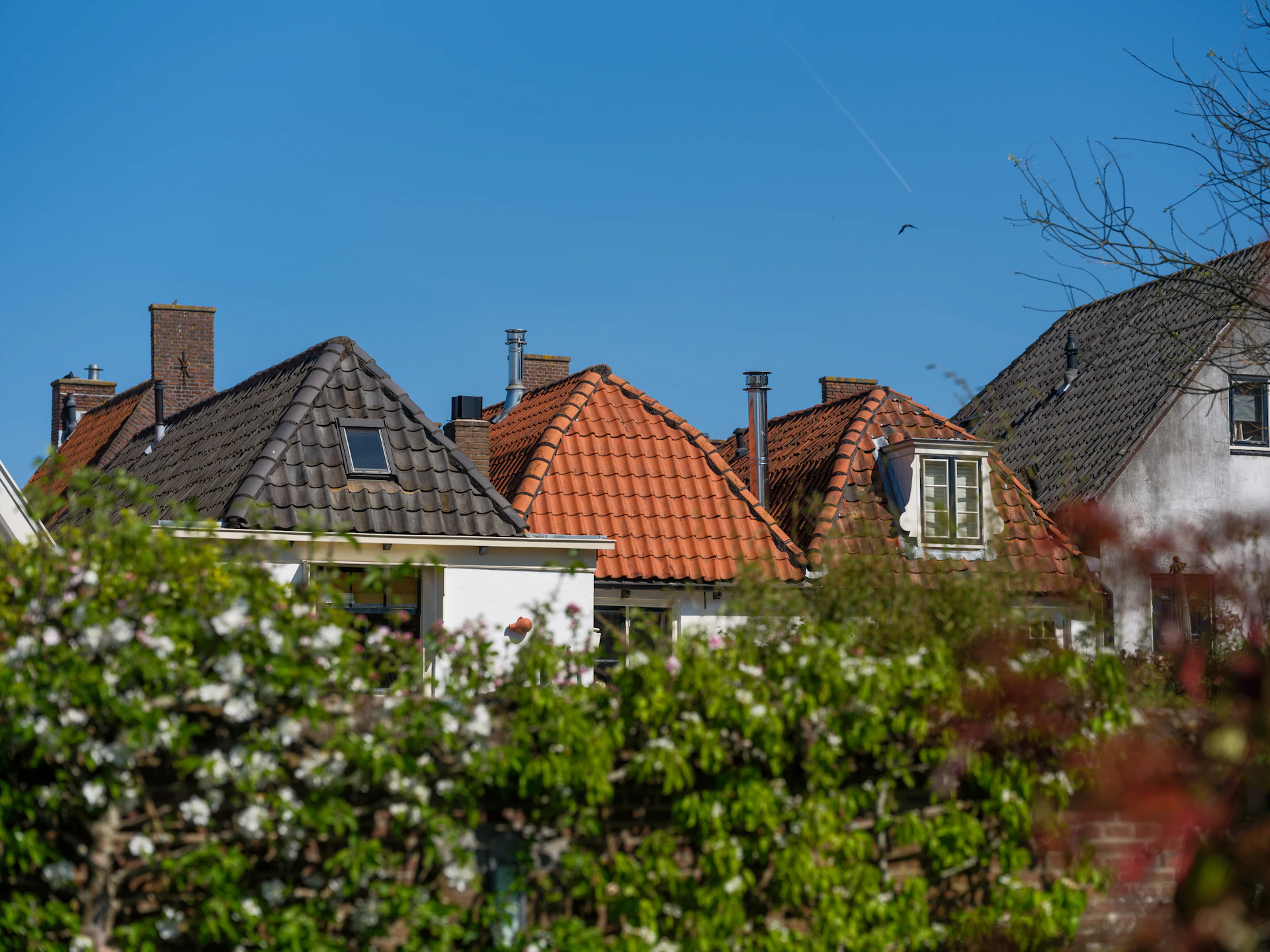 Roofs of houses with a clear blue sky