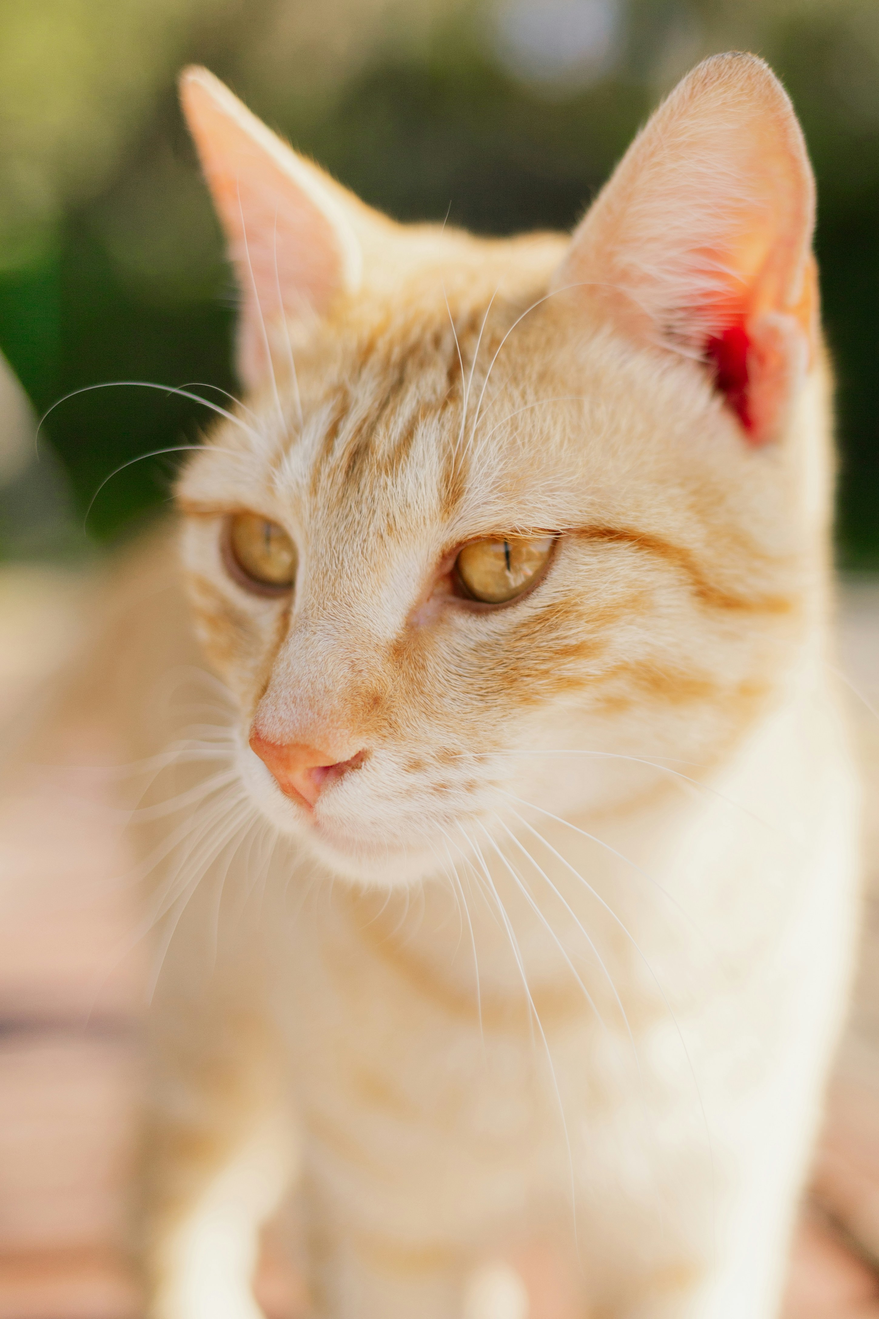 Photo by nikita_pishchugin