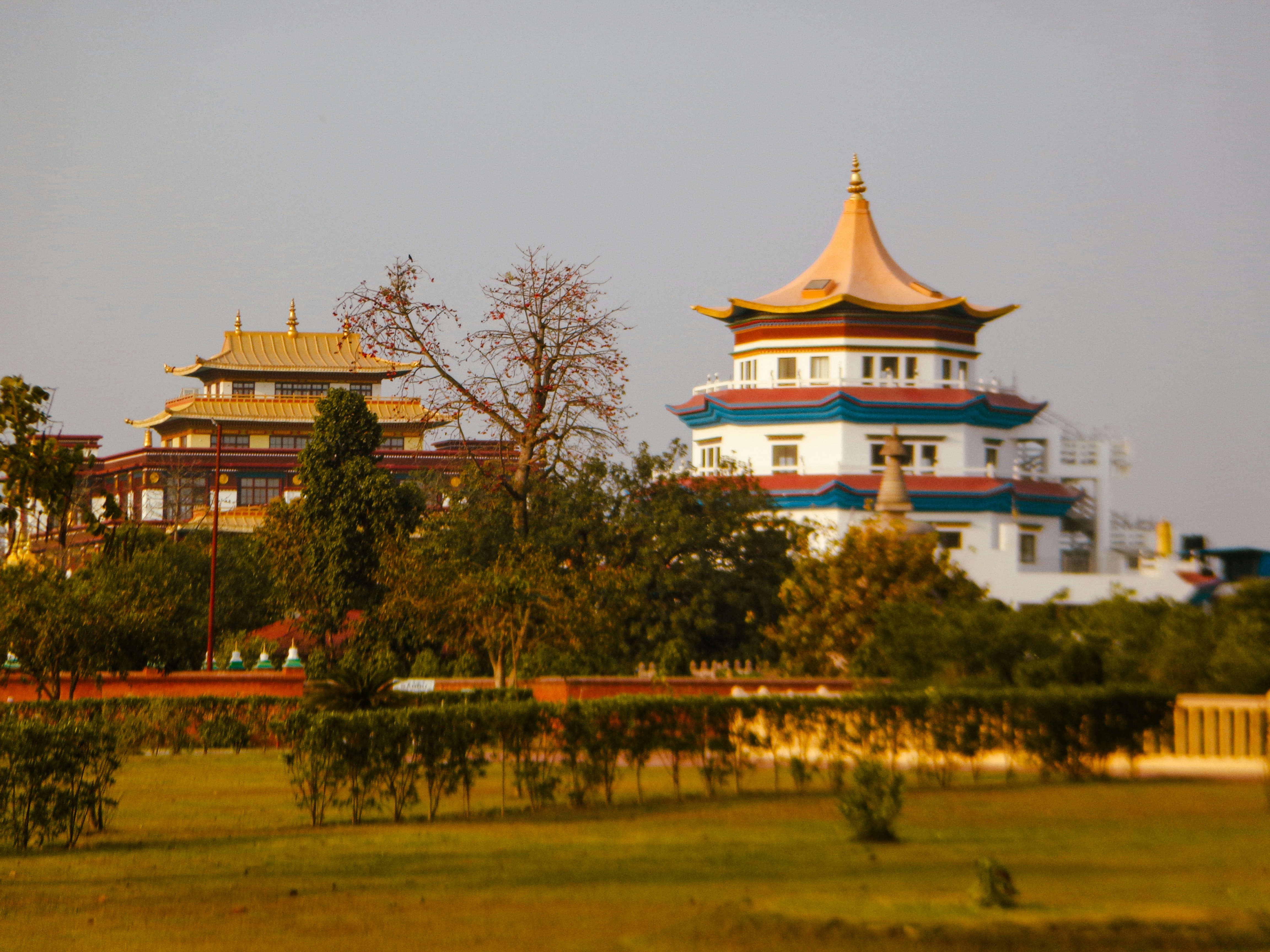 Photo by rahulvirghat