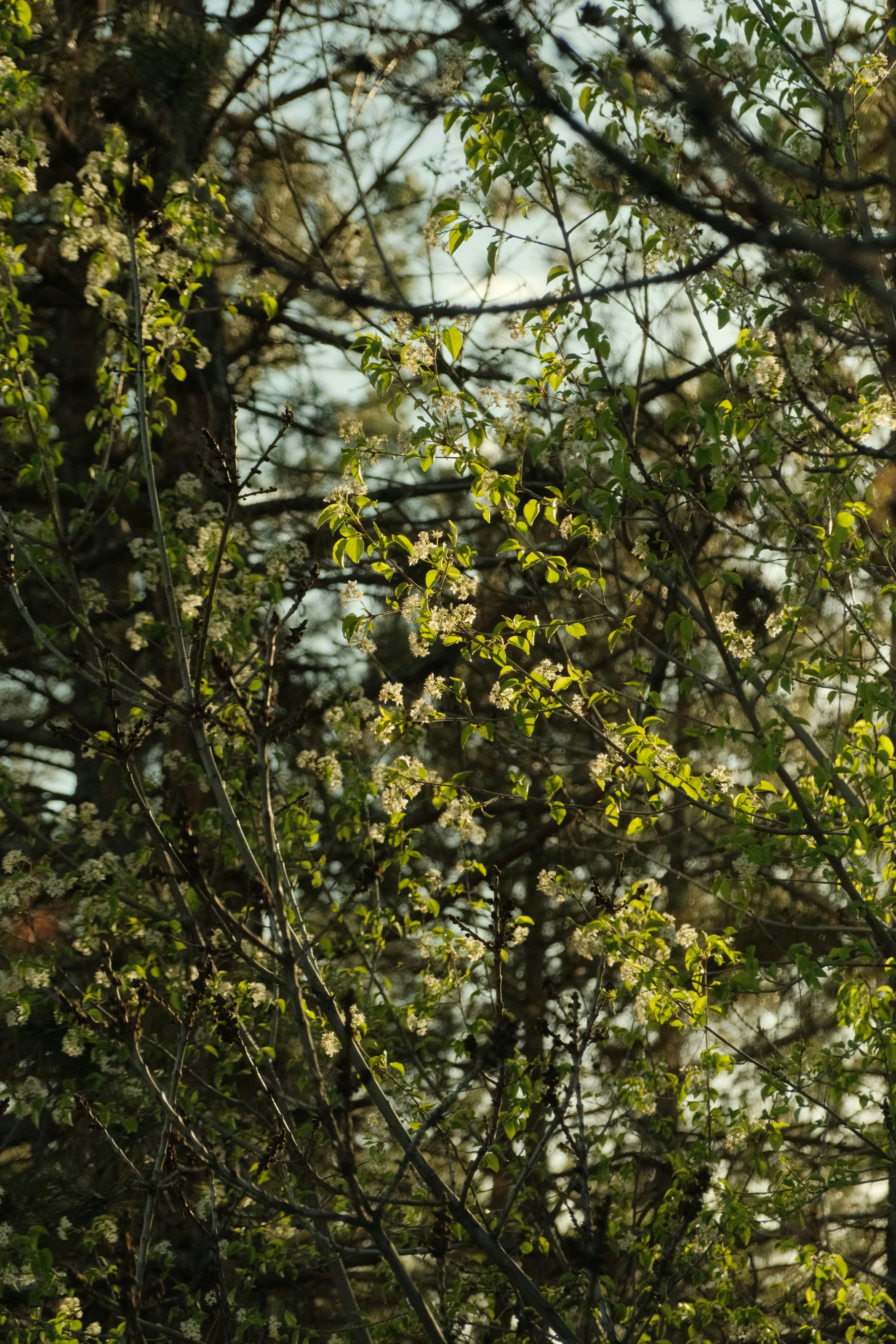 Photo by ismailefetop