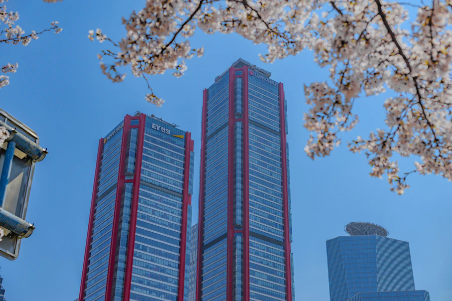 首爾汝矣島櫻花步道