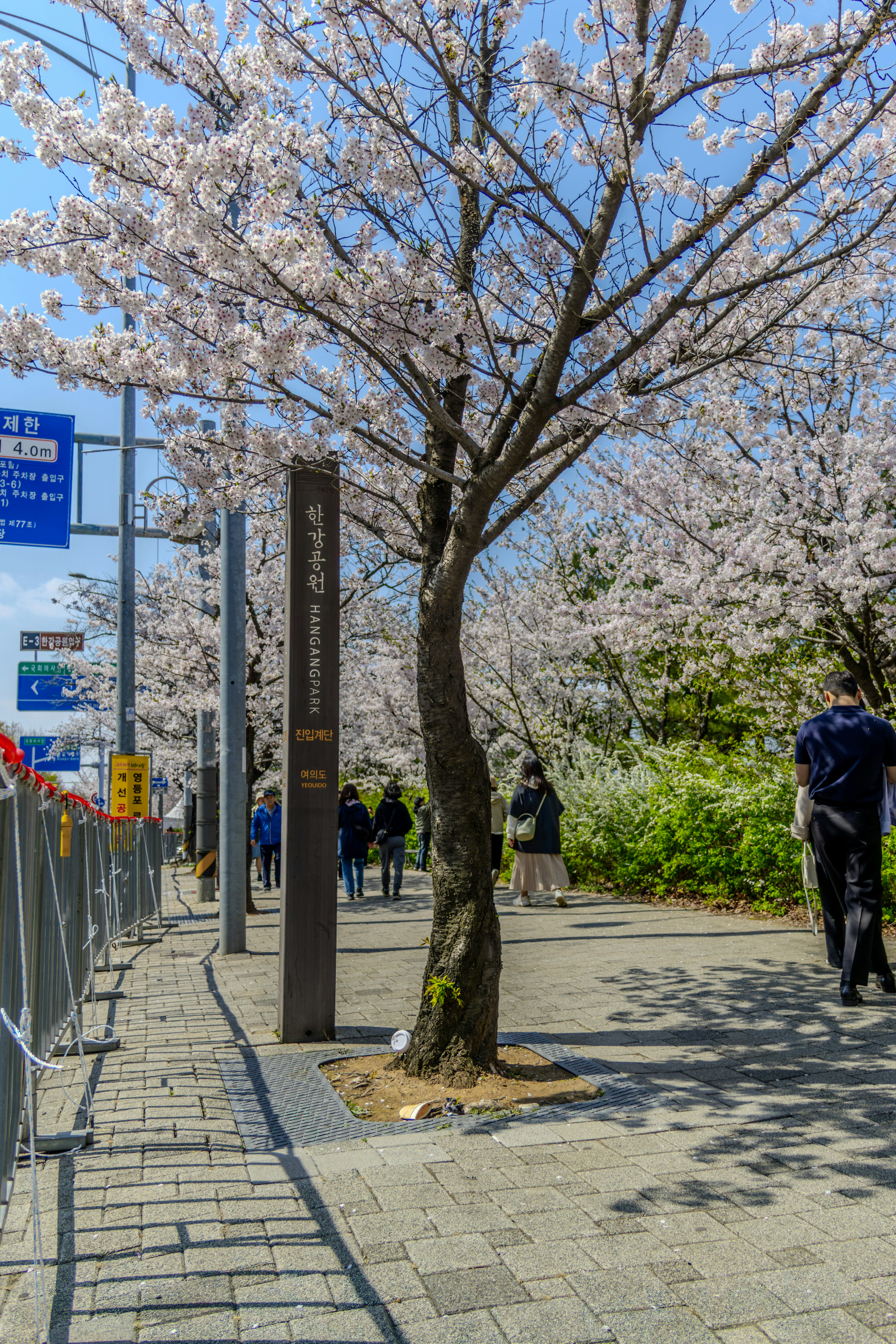 Gapyeong and the Garden of Morning Calm — Slow Travel at Its Best
