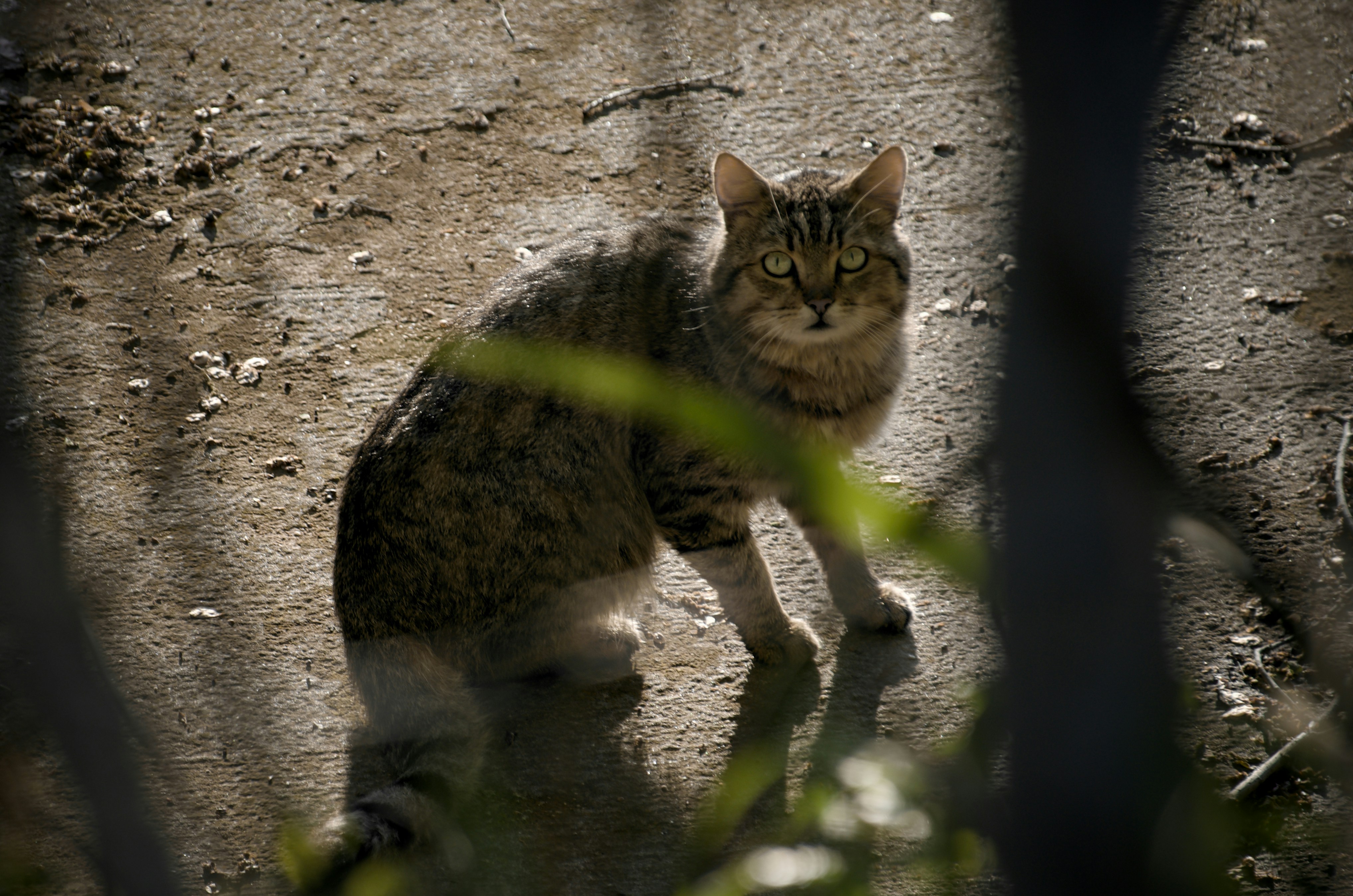 Photo by mariobeducci