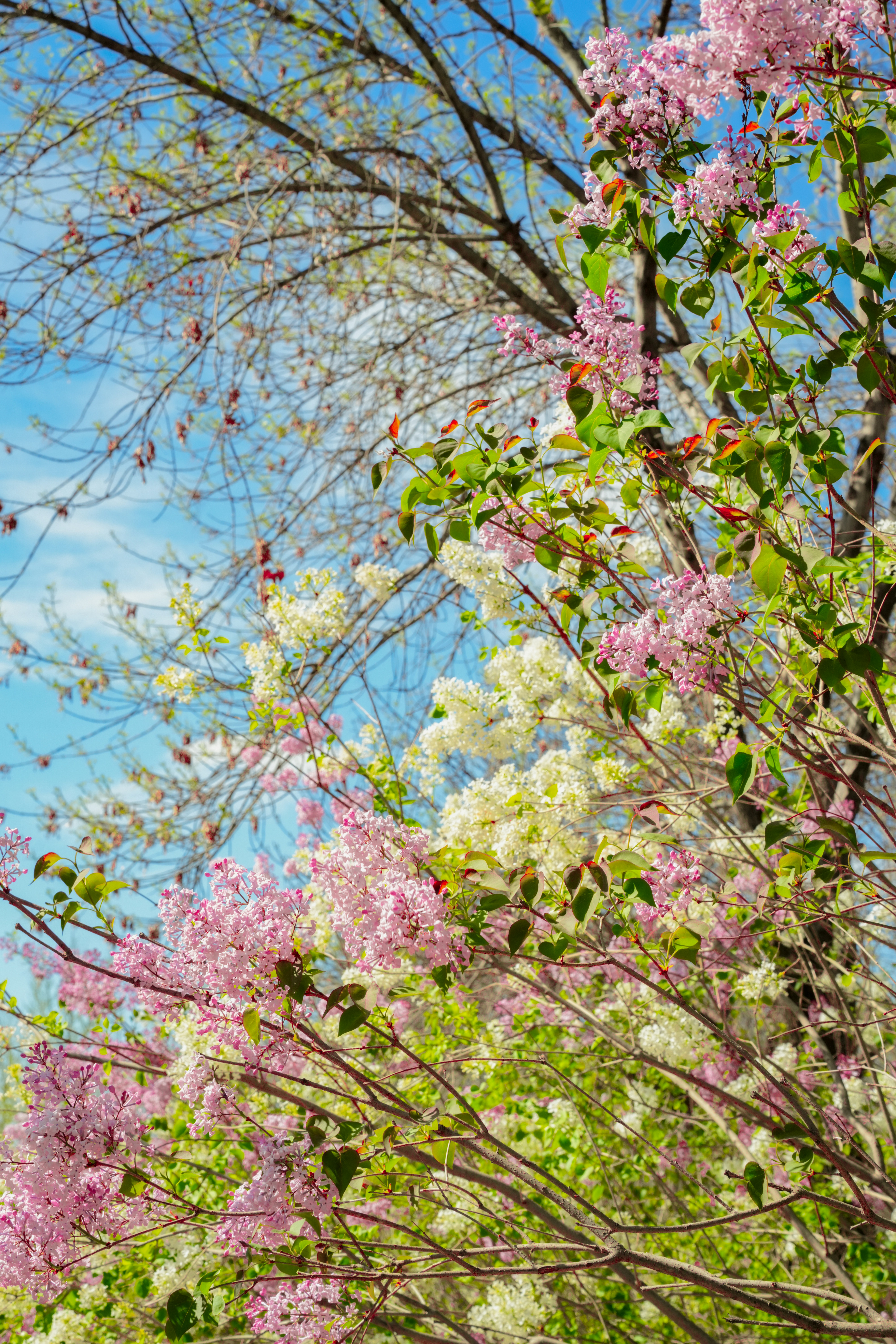 Photo by hattrick1996