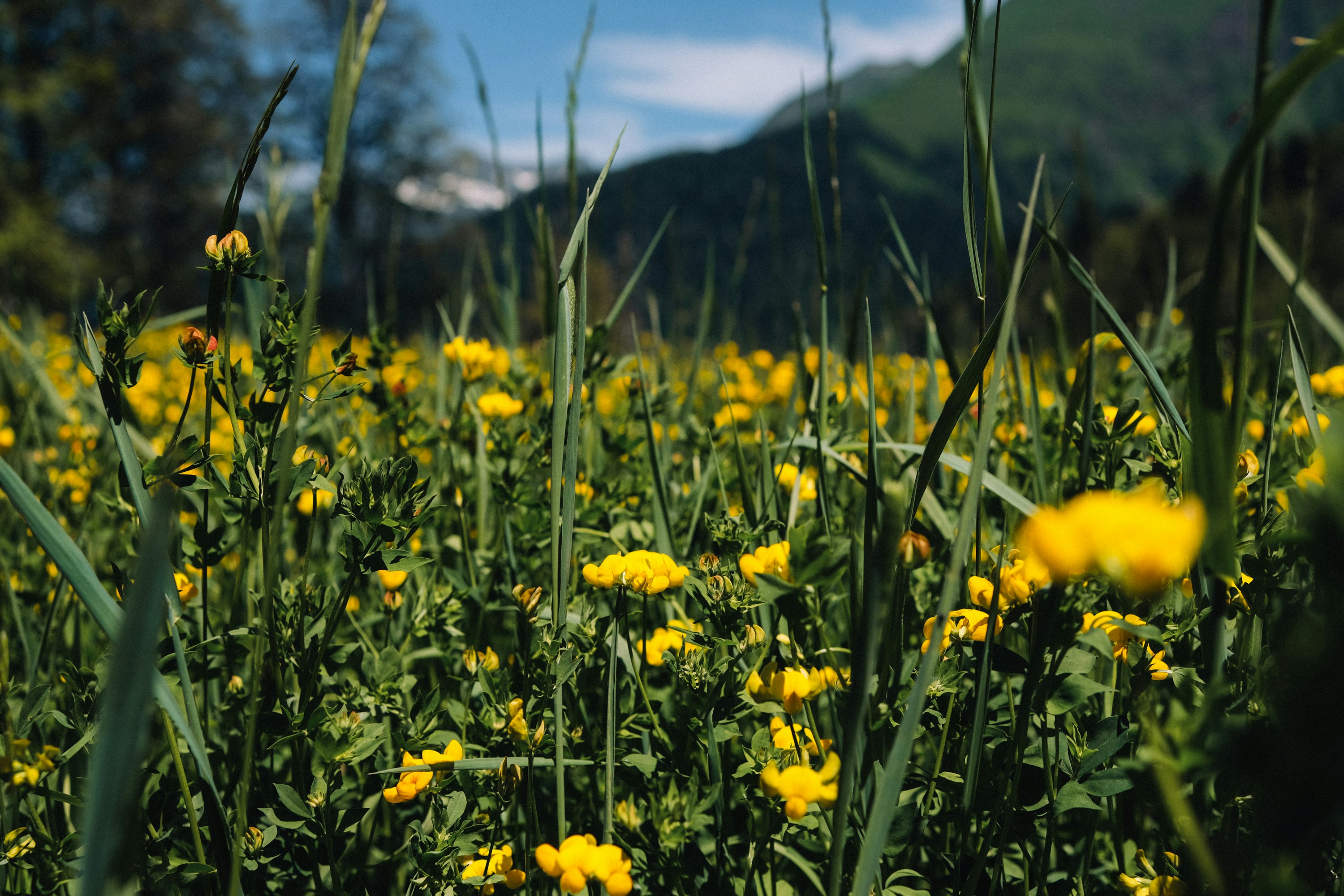 Photo by valentinakond