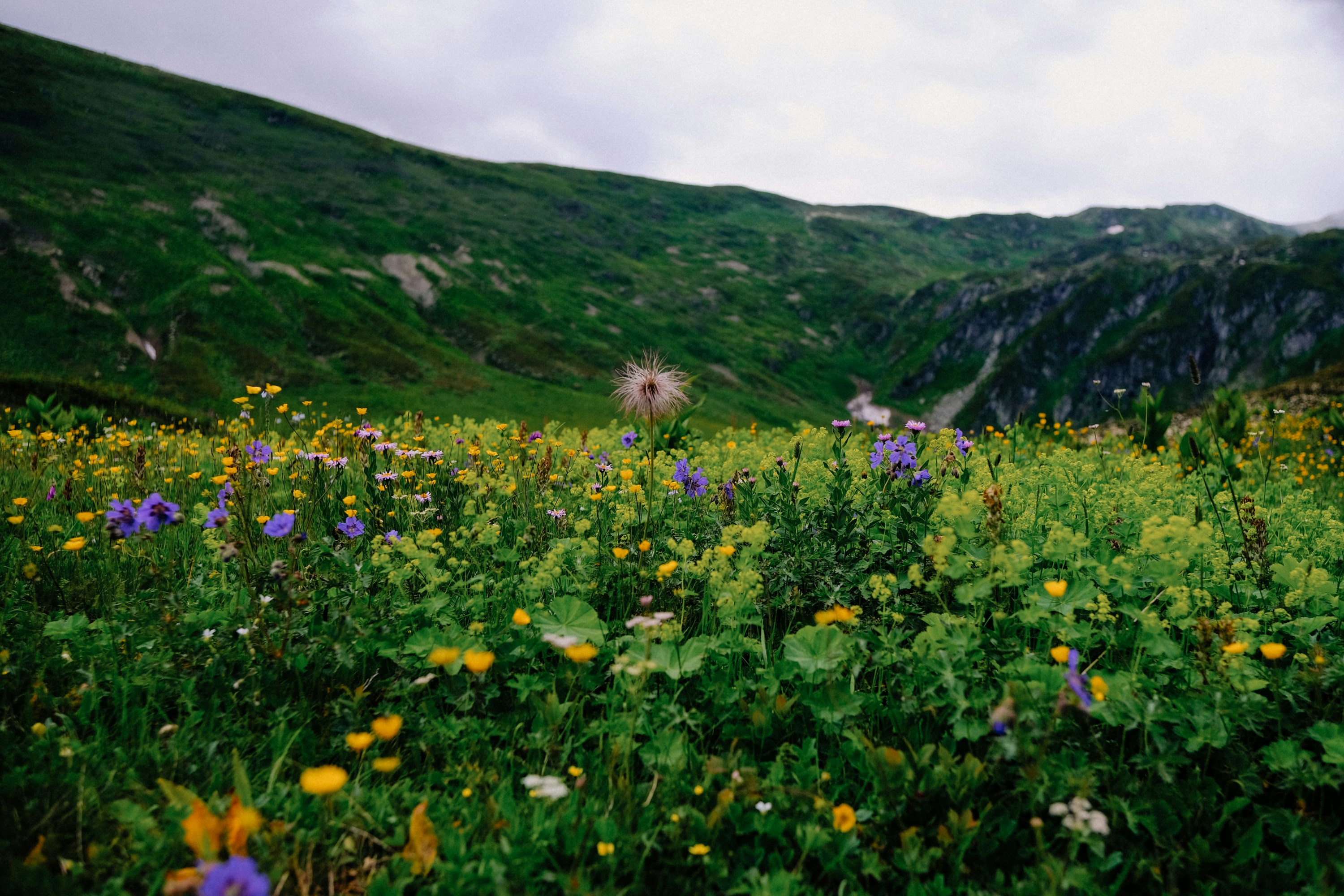 Photo by valentinakond