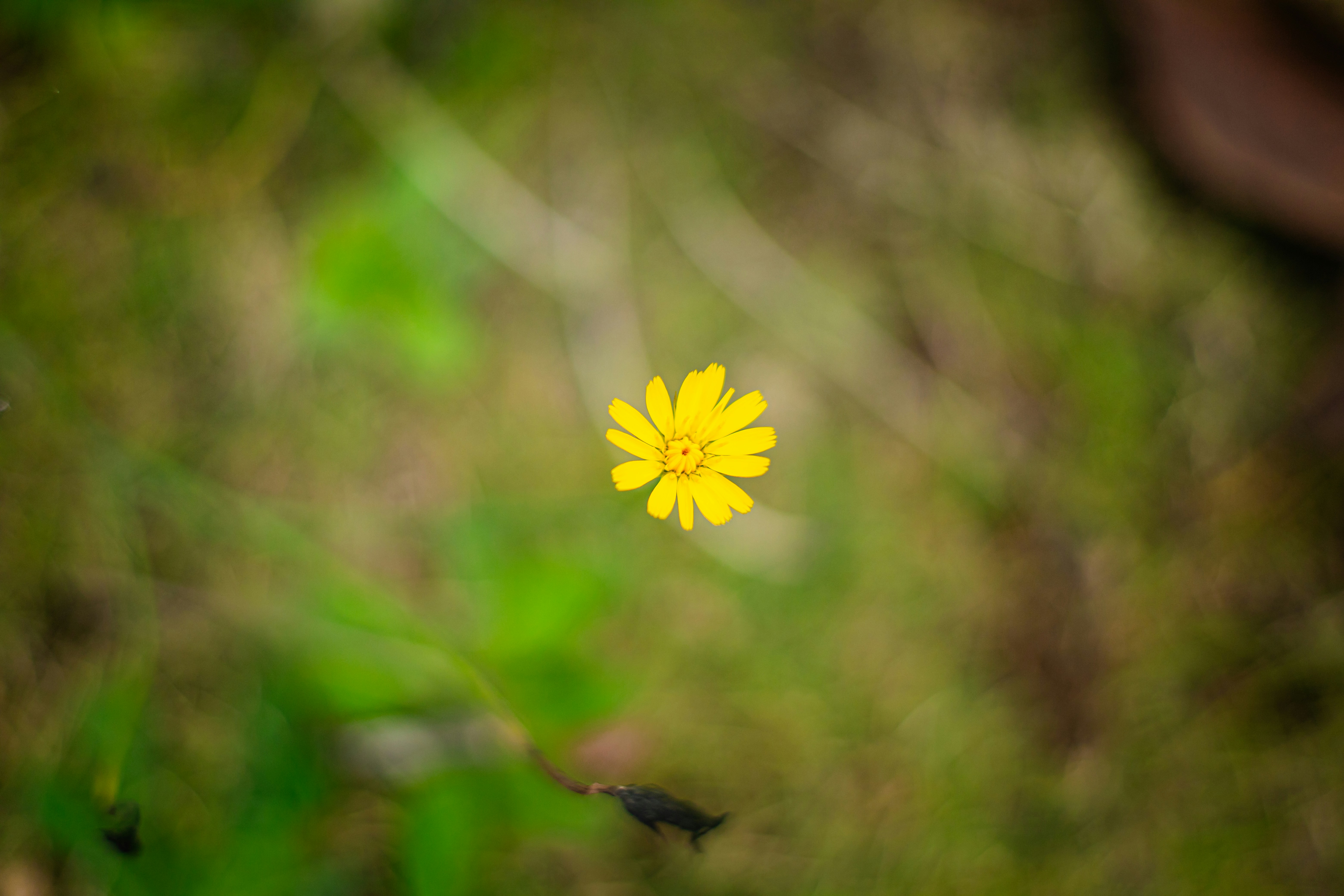 Photo by chuchu123456