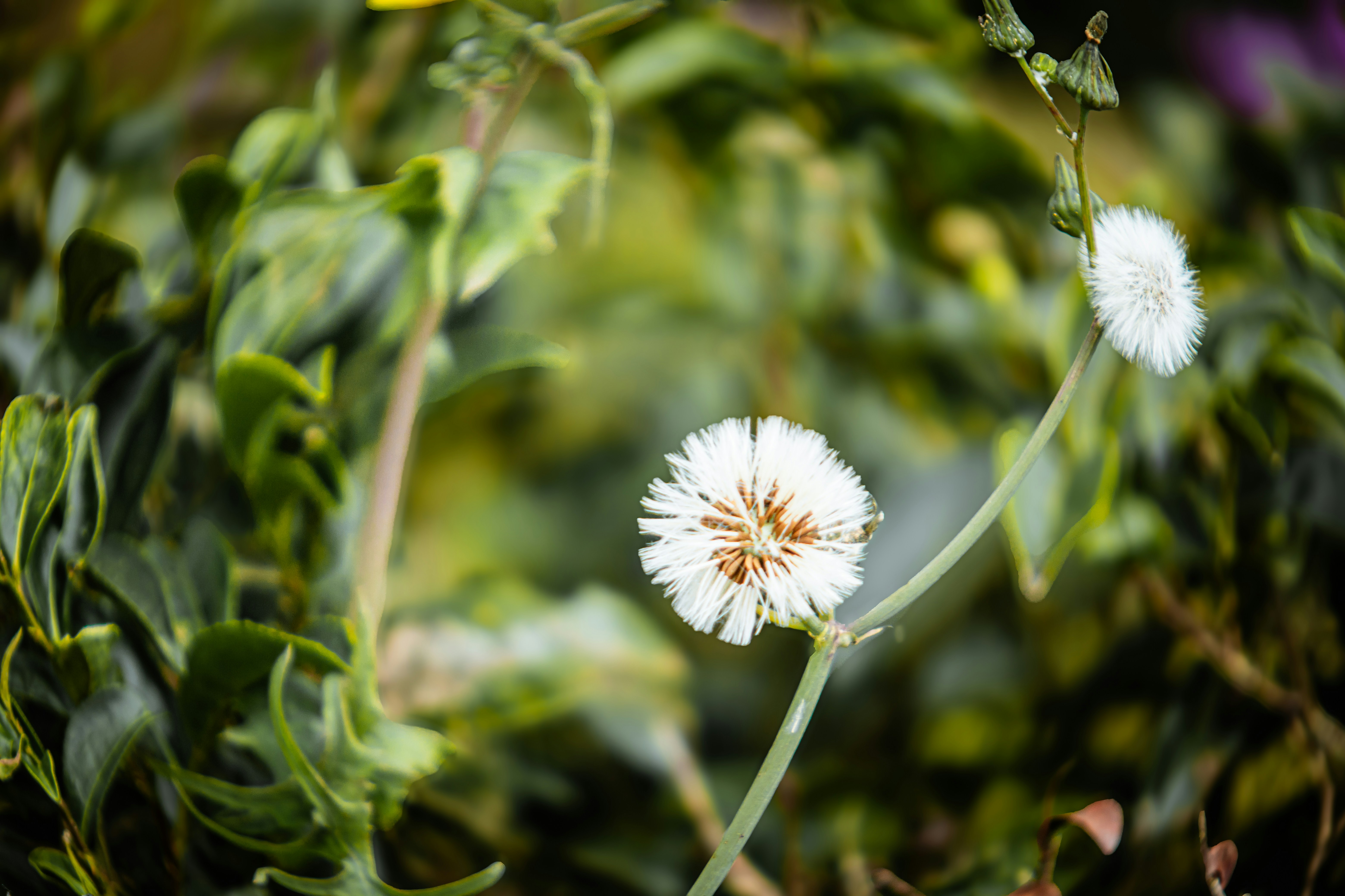 Photo by chuchu123456