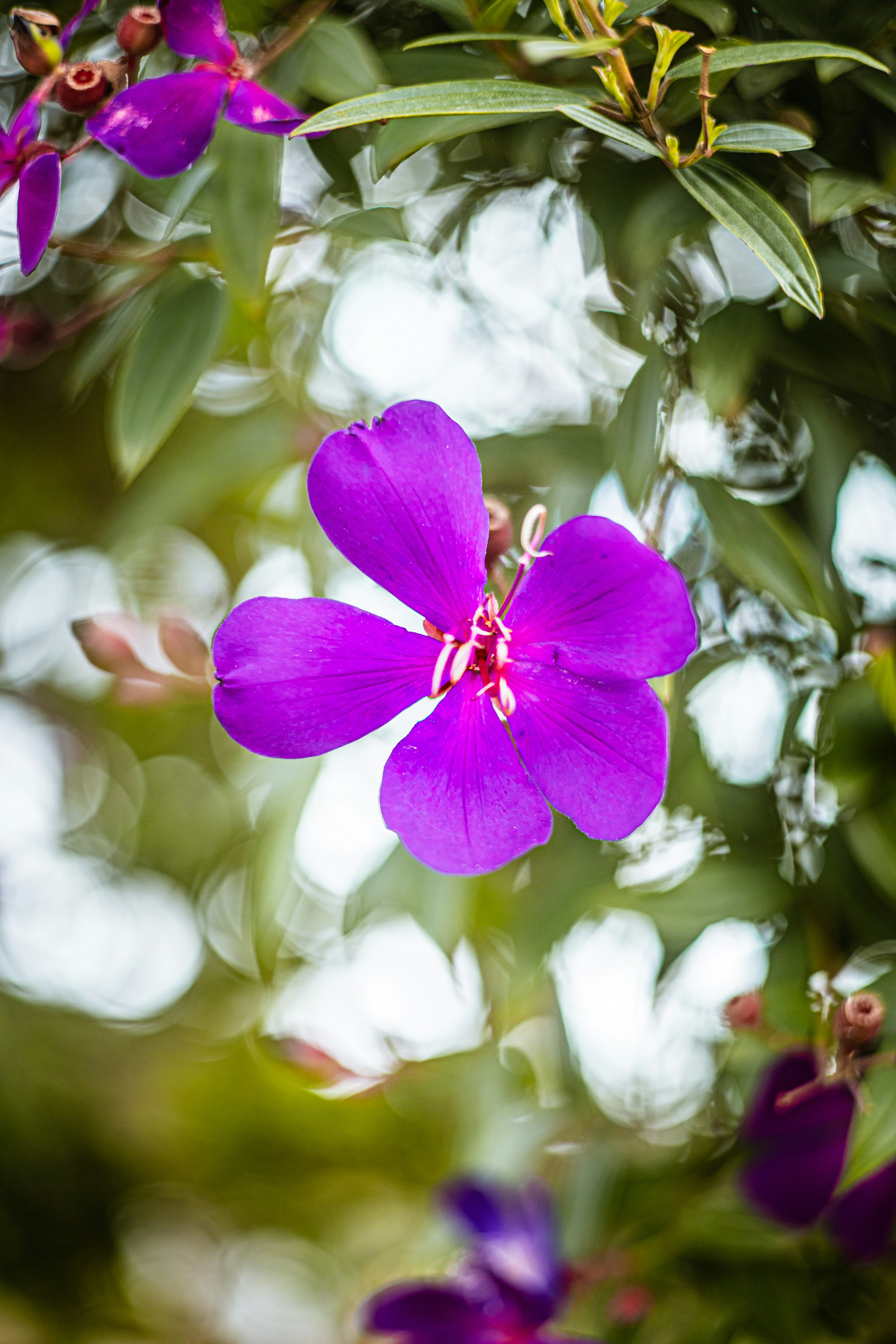 Photo by chuchu123456