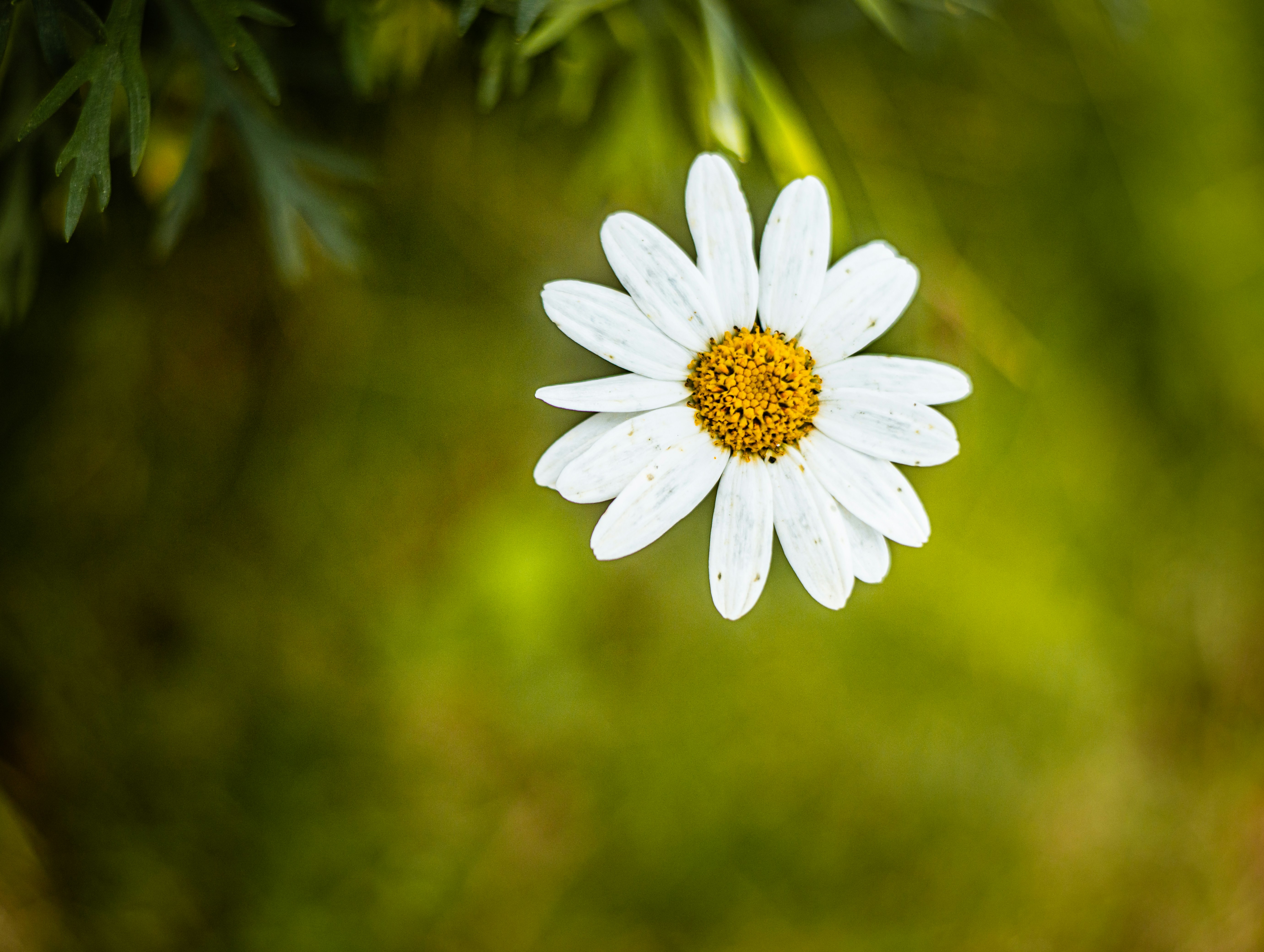 Photo by chuchu123456