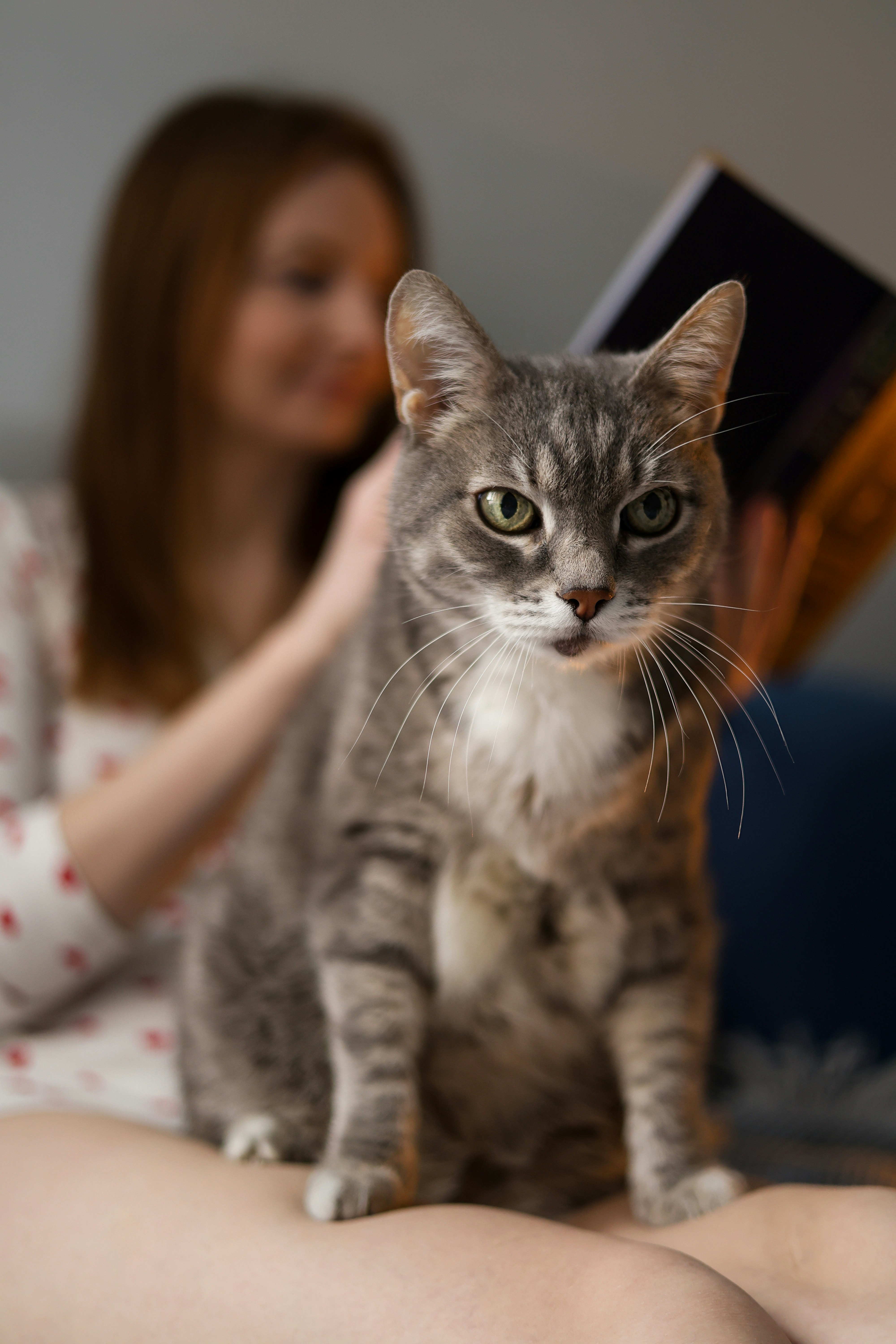 Mirroring Your Emotions (image credits: unsplash)