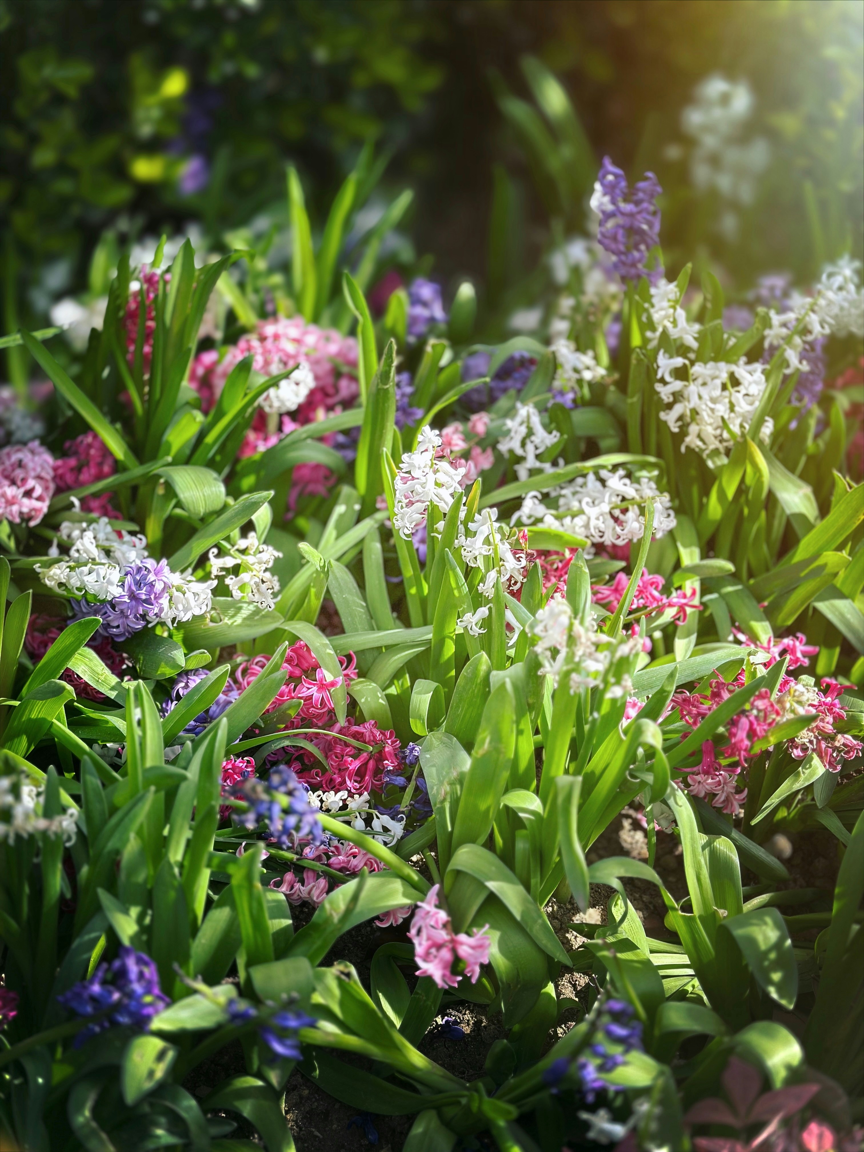 Photo by gamzeteoman