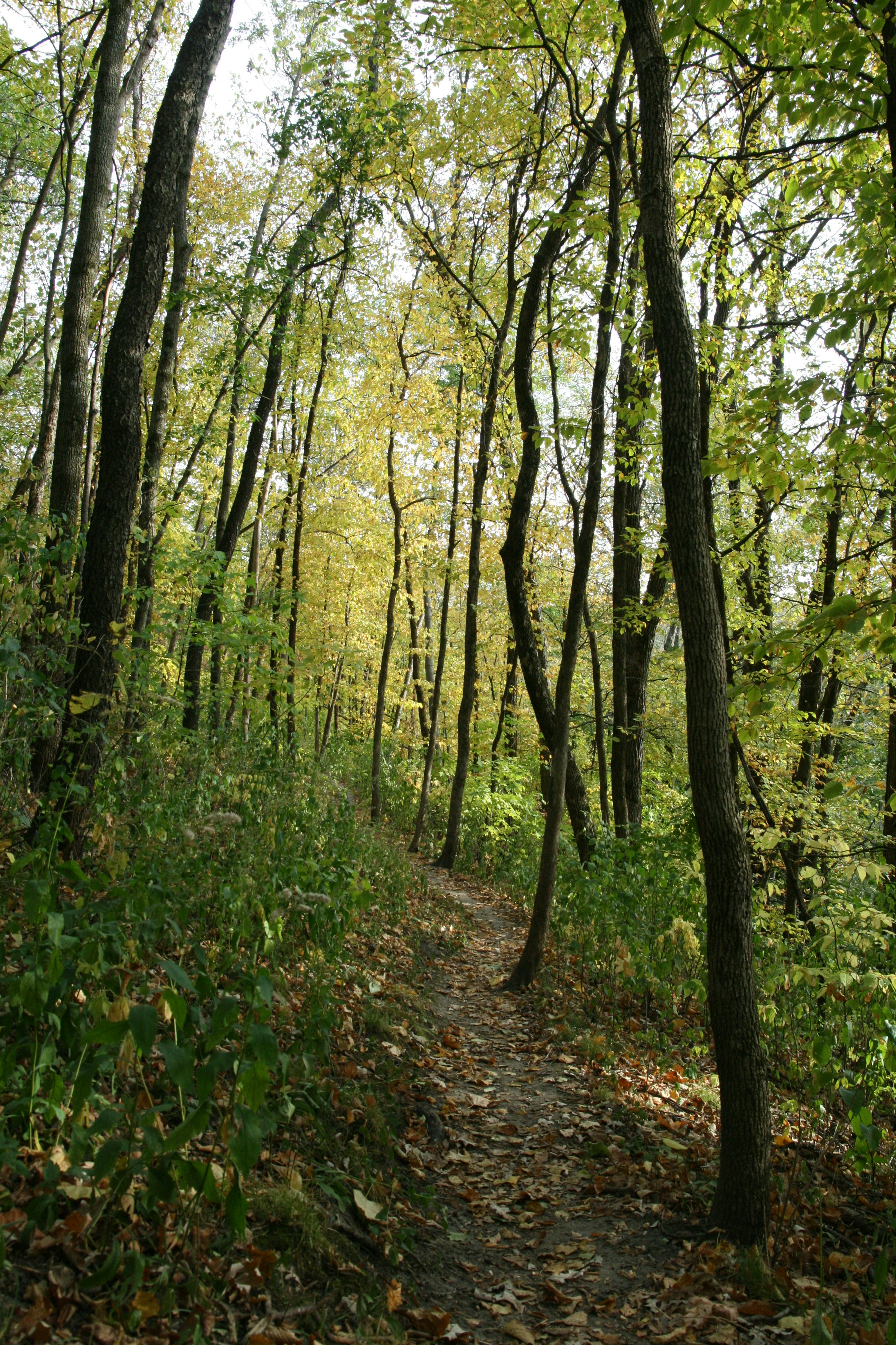 Photo by theartsy_waterlily