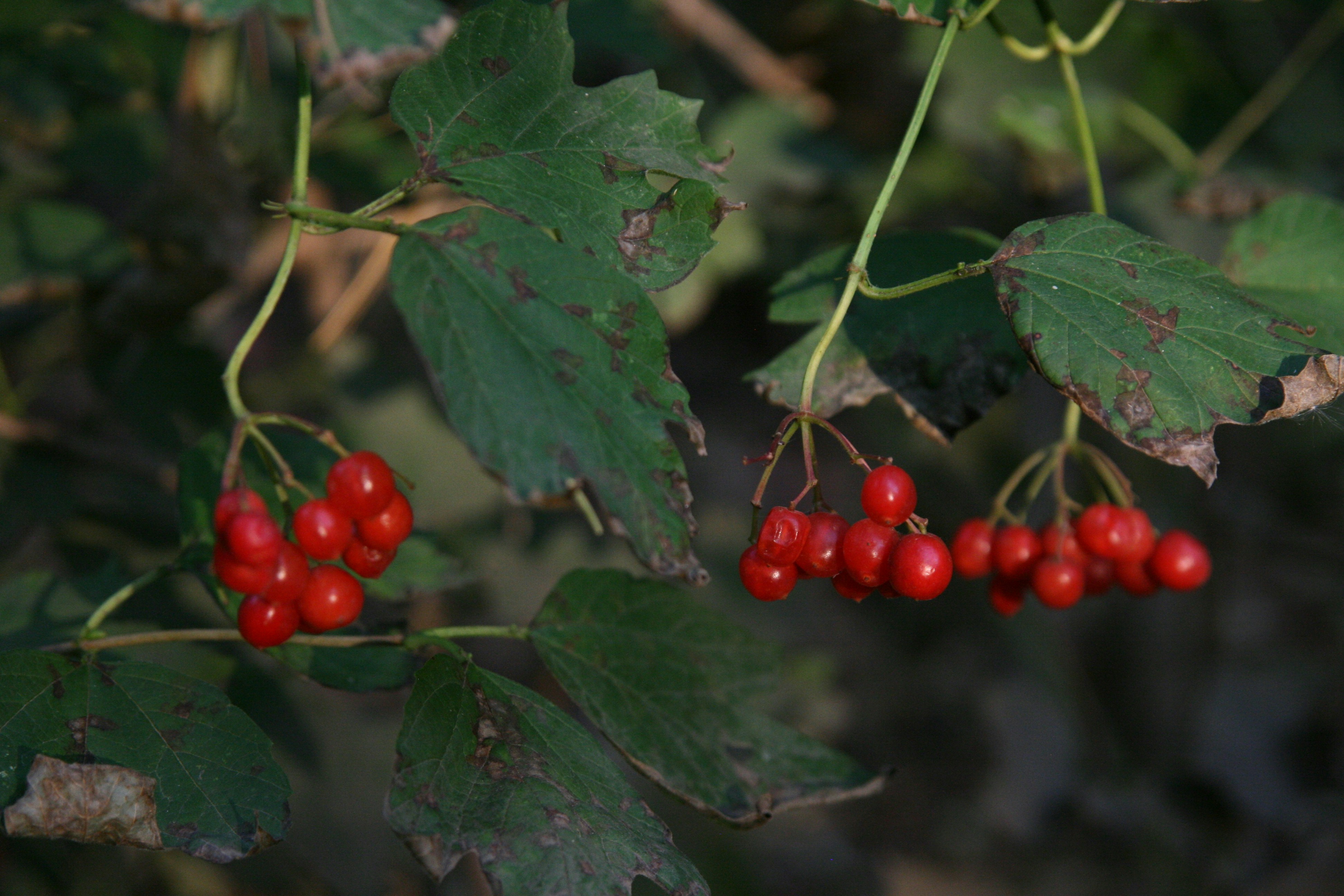 Photo by theartsy_waterlily