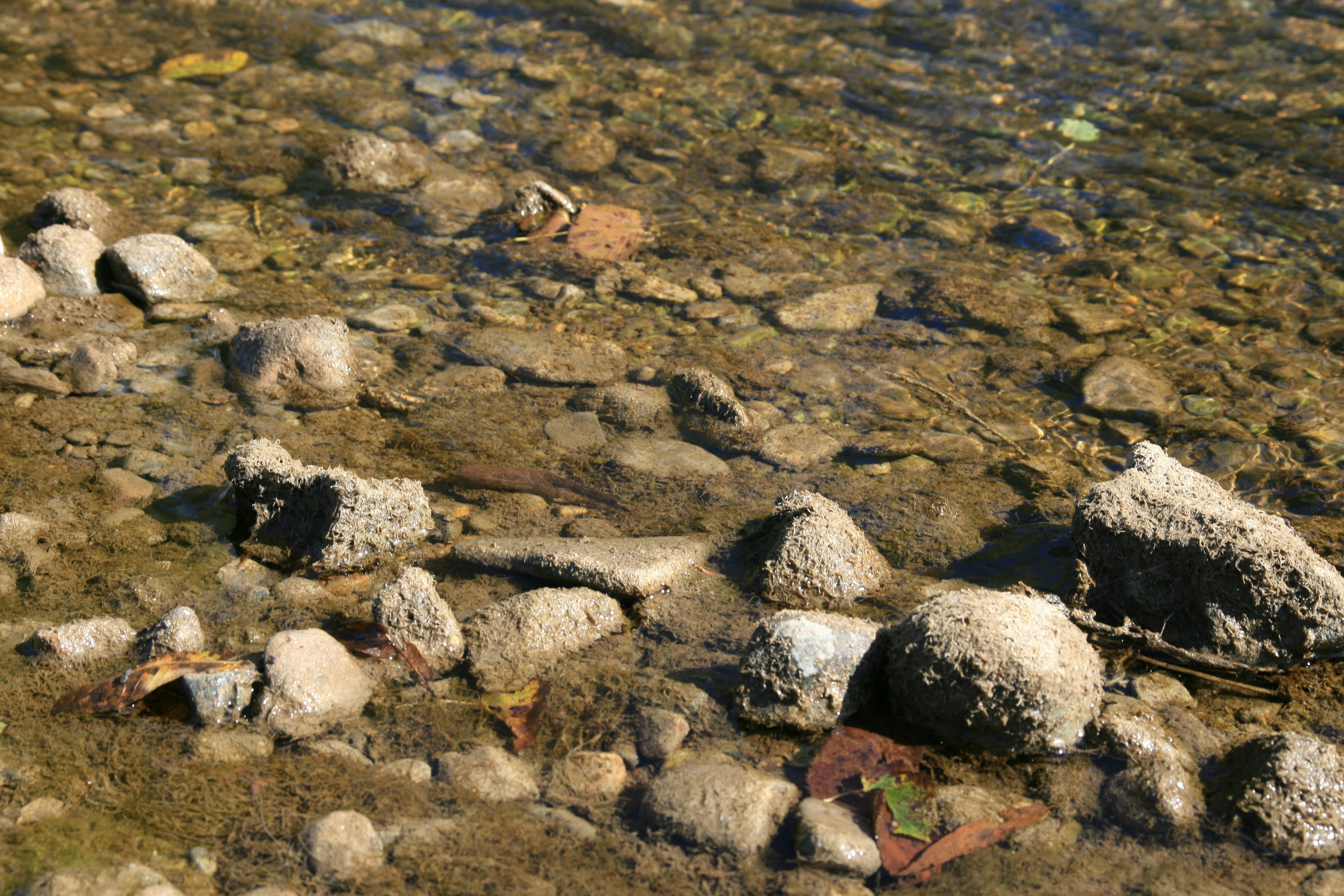 Photo by theartsy_waterlily