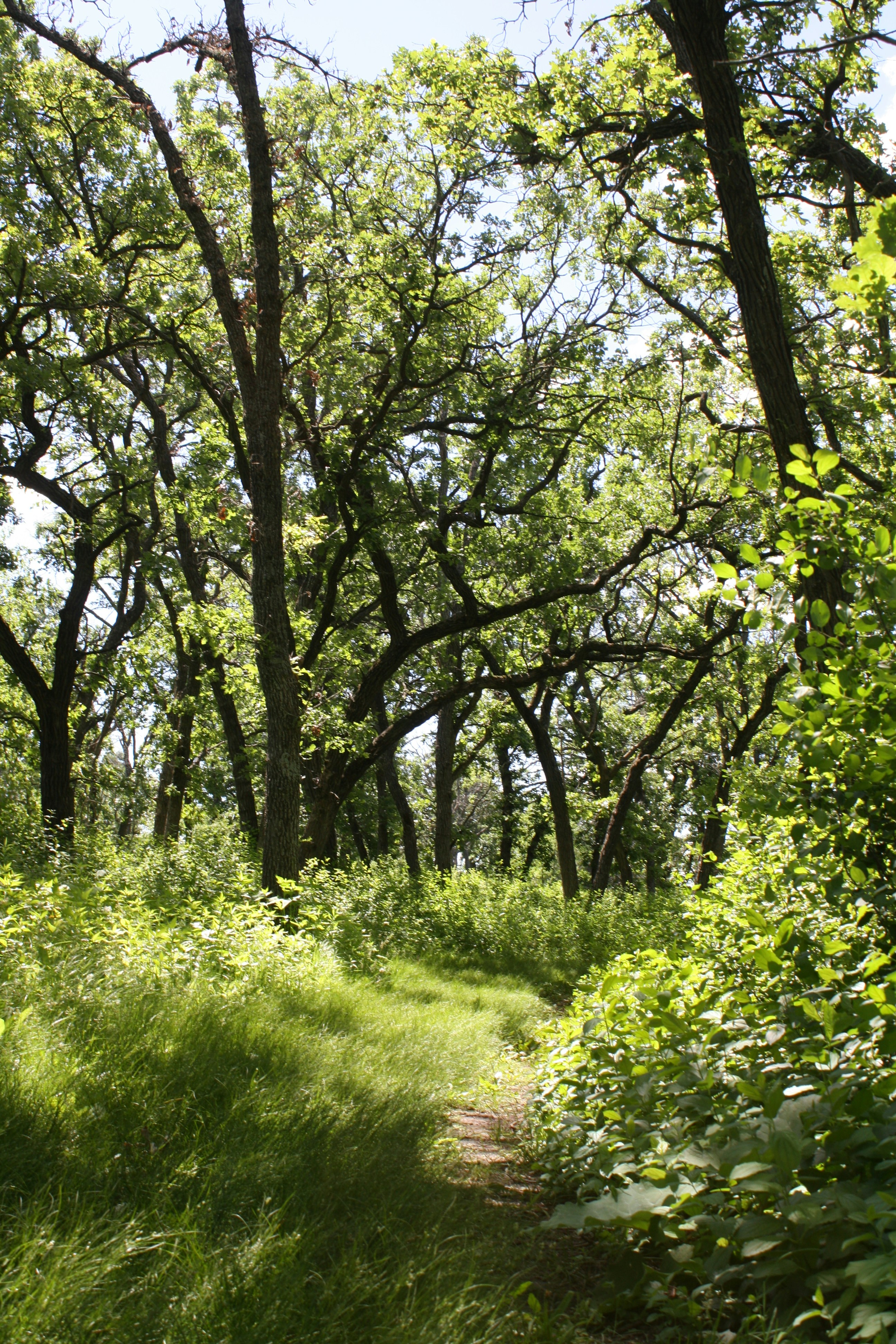 Photo by theartsy_waterlily