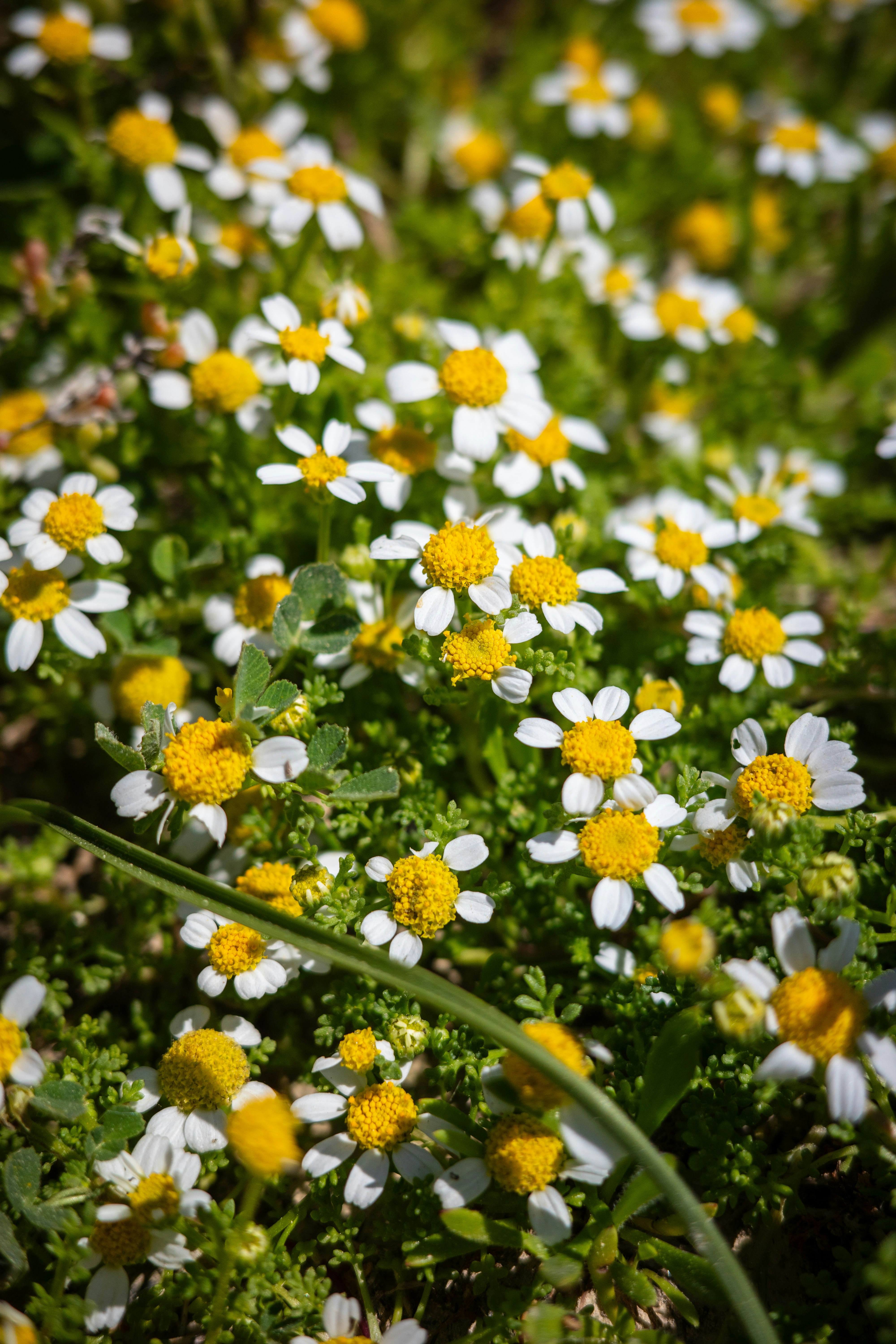 Photo by kylemintoff