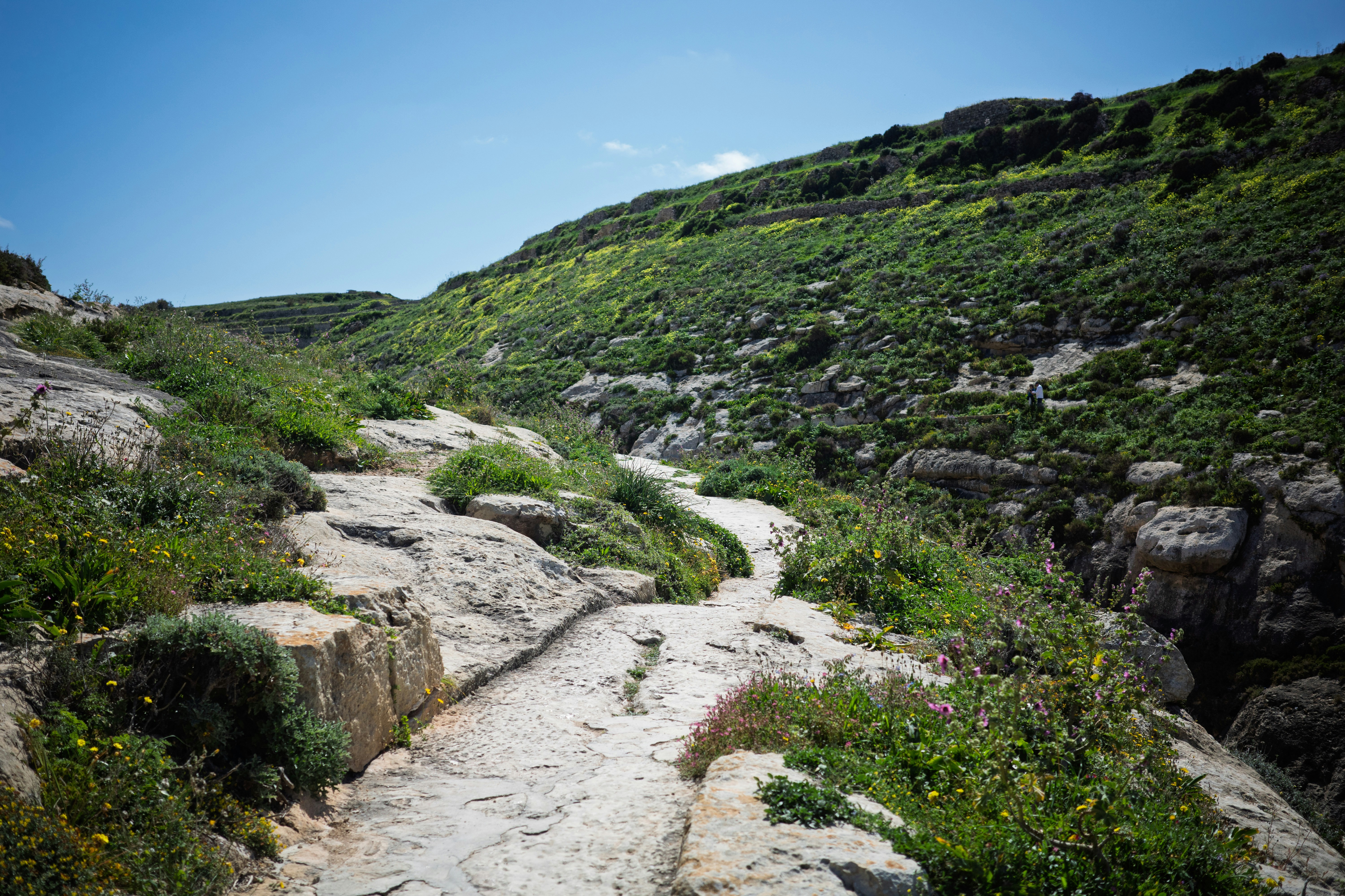 Photo by kylemintoff