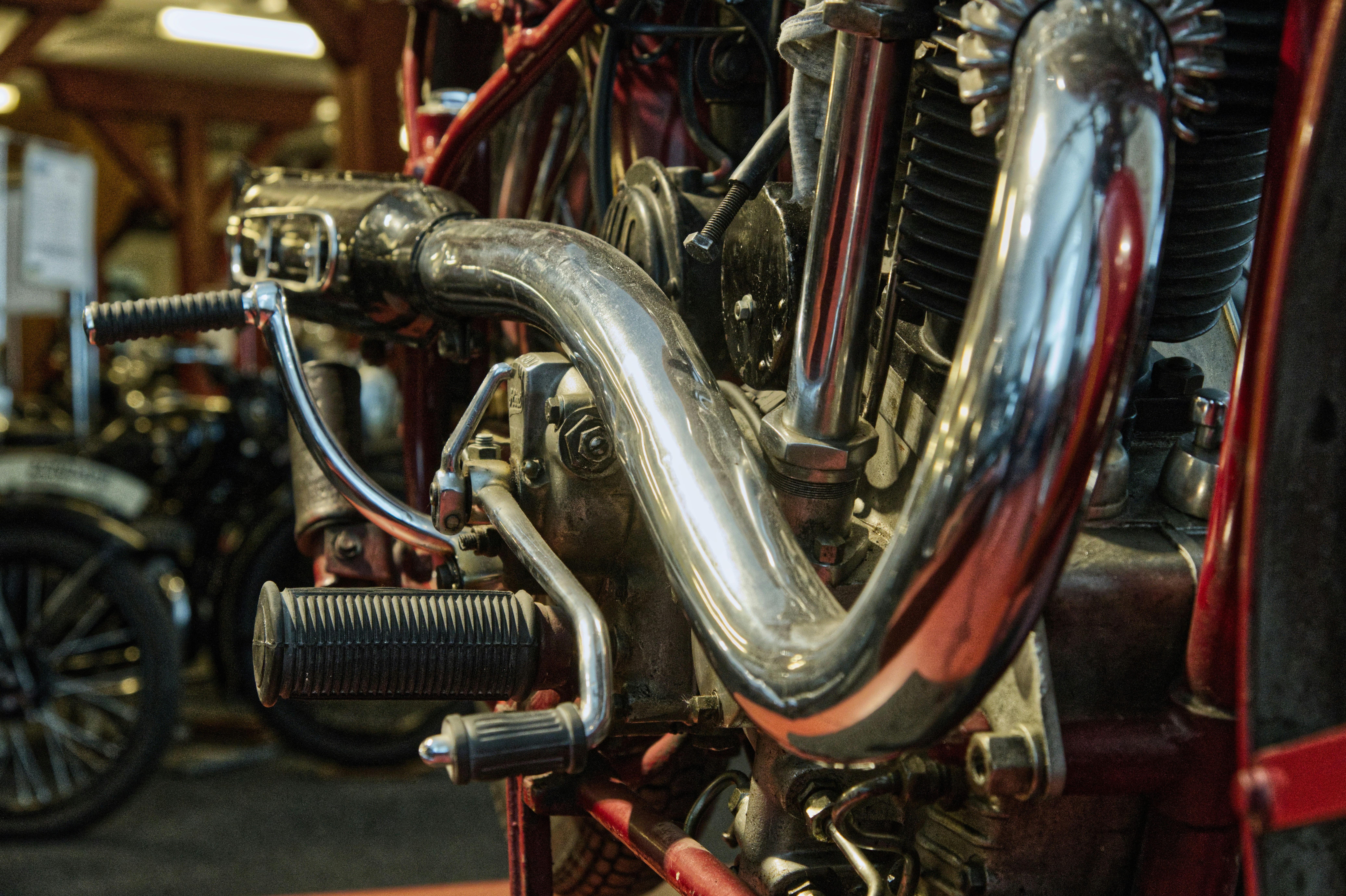 Photo by scholli1100