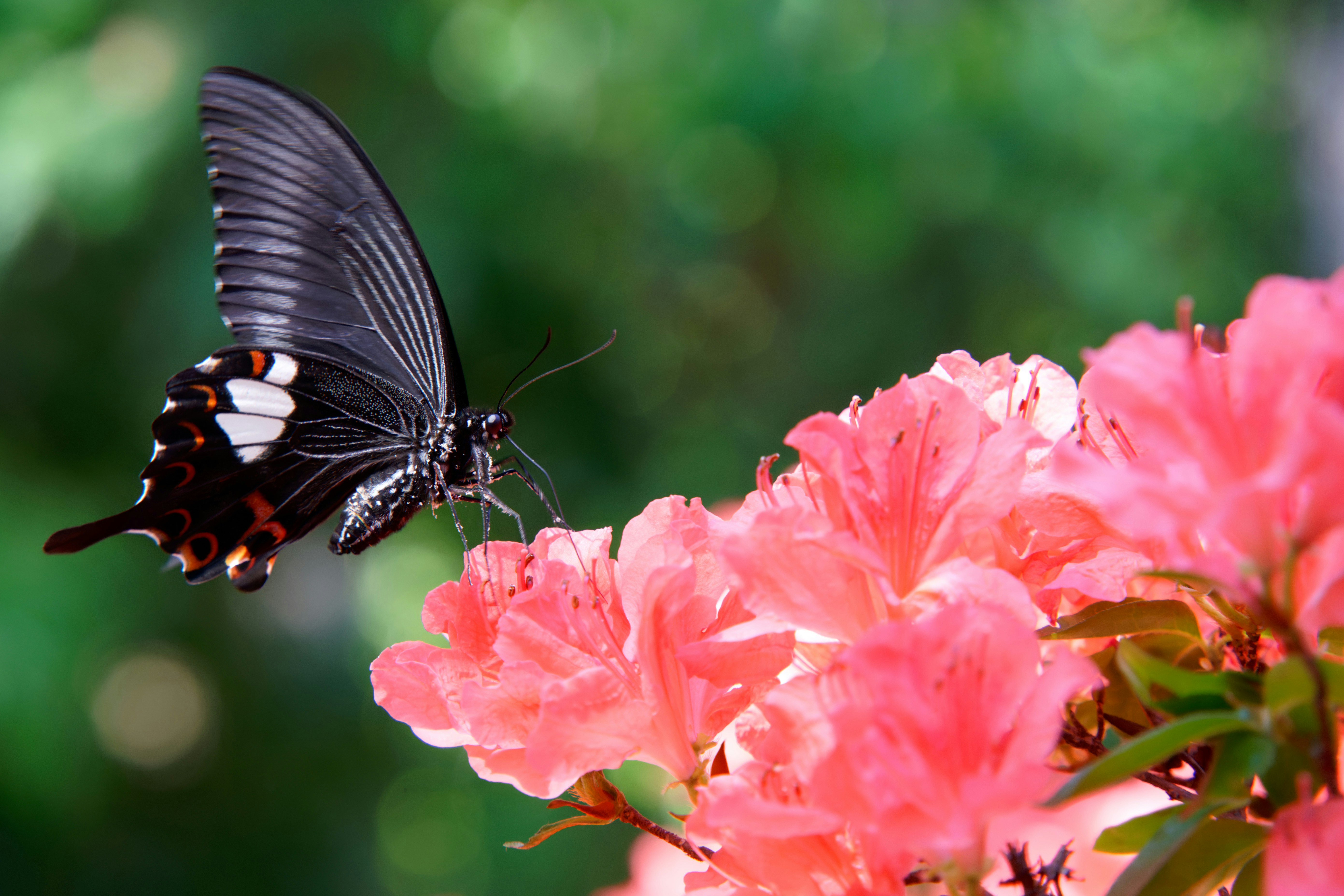 Photo by da_shika_photo