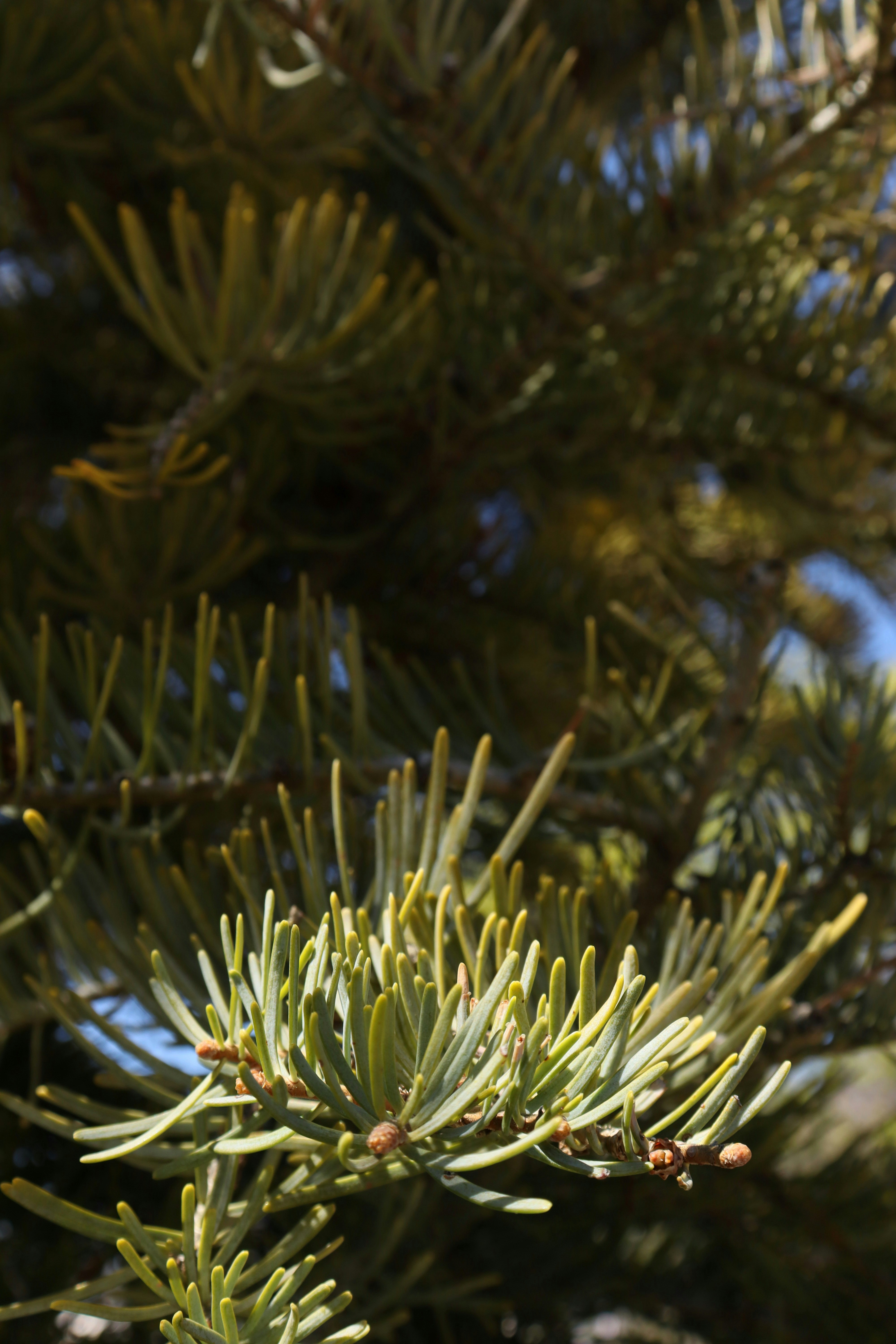 Photo by bored_mongoose