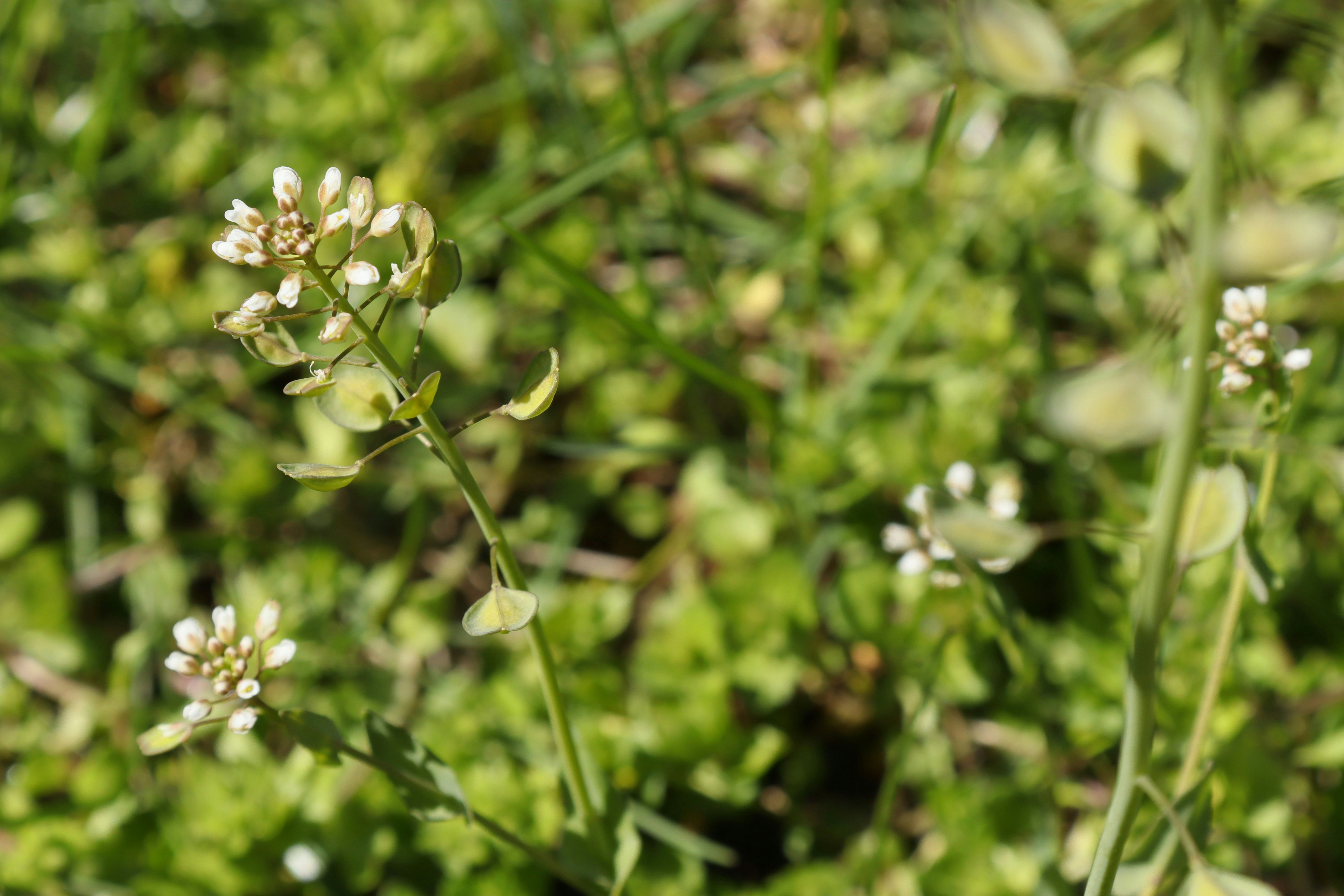 Photo by bored_mongoose