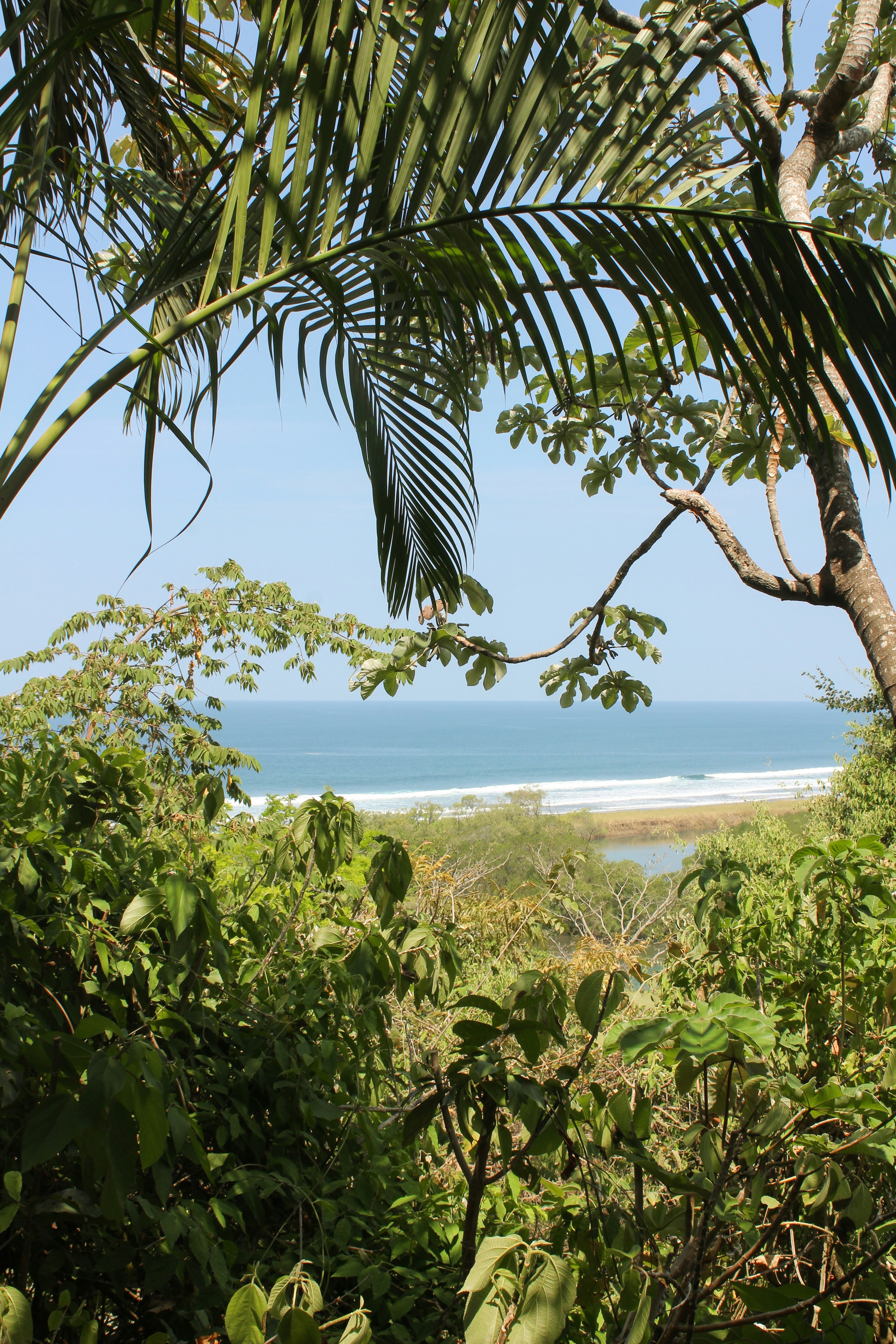 Photo by zoeeefitzgerald