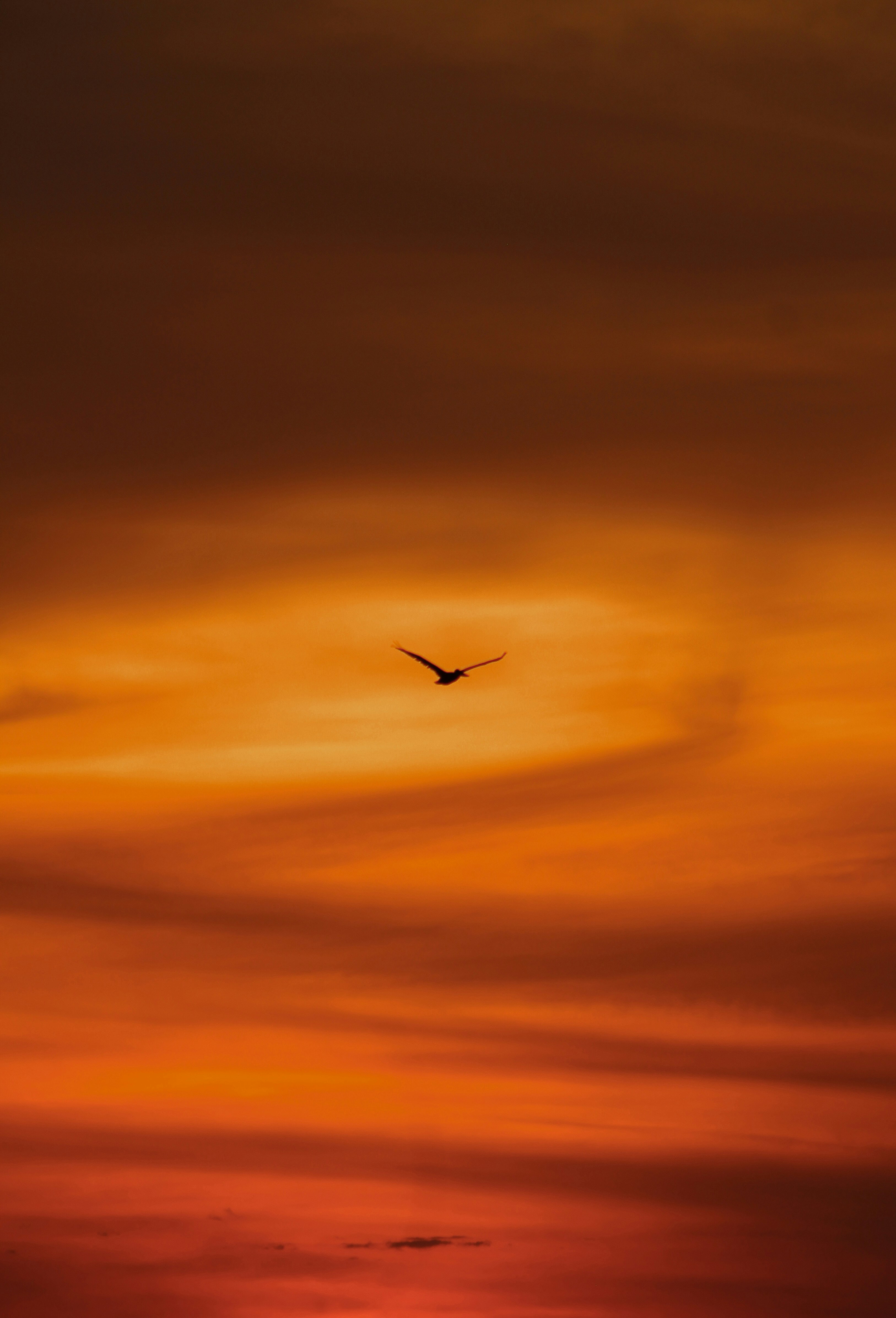 Photo by zoeeefitzgerald