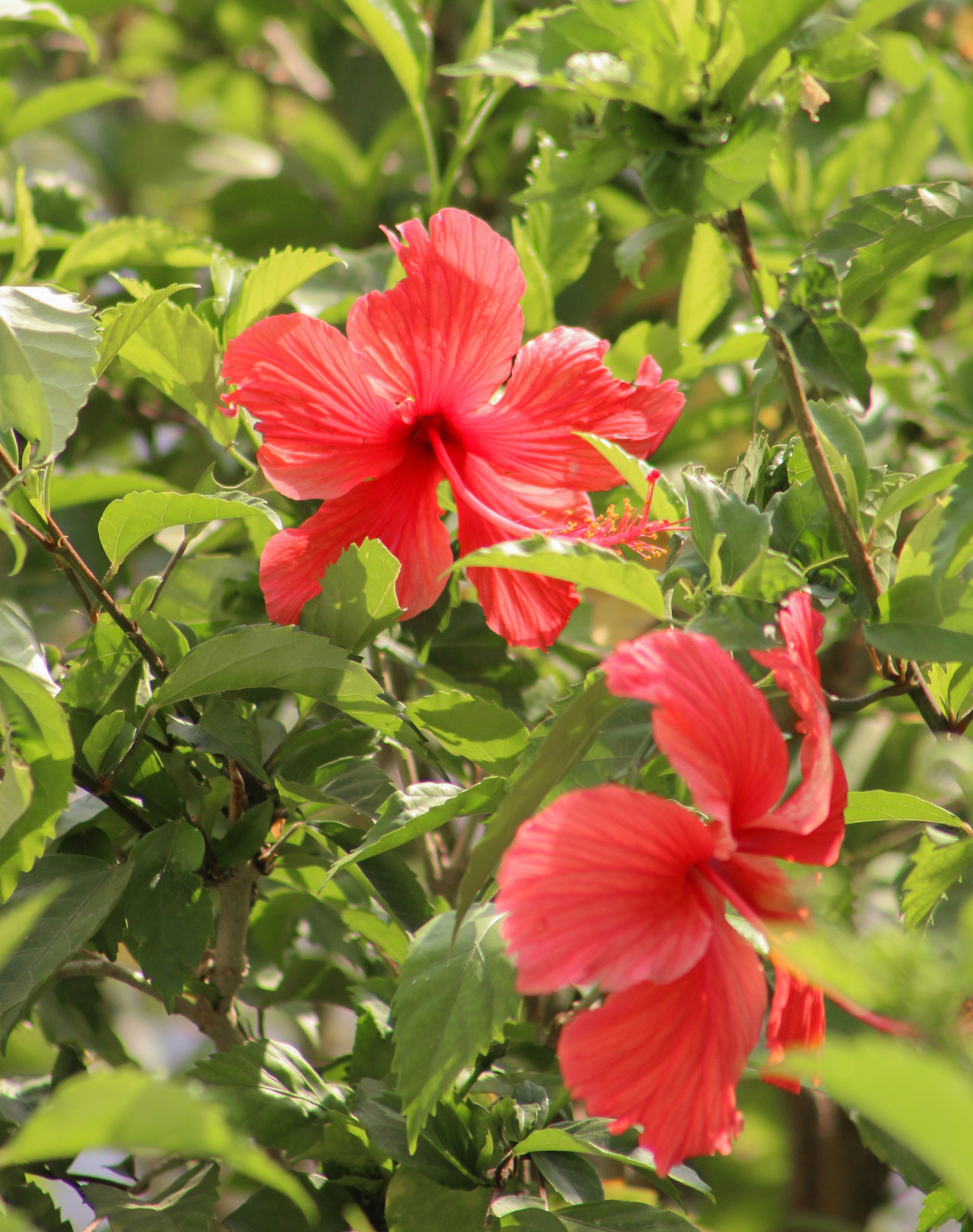 Photo by zoeeefitzgerald